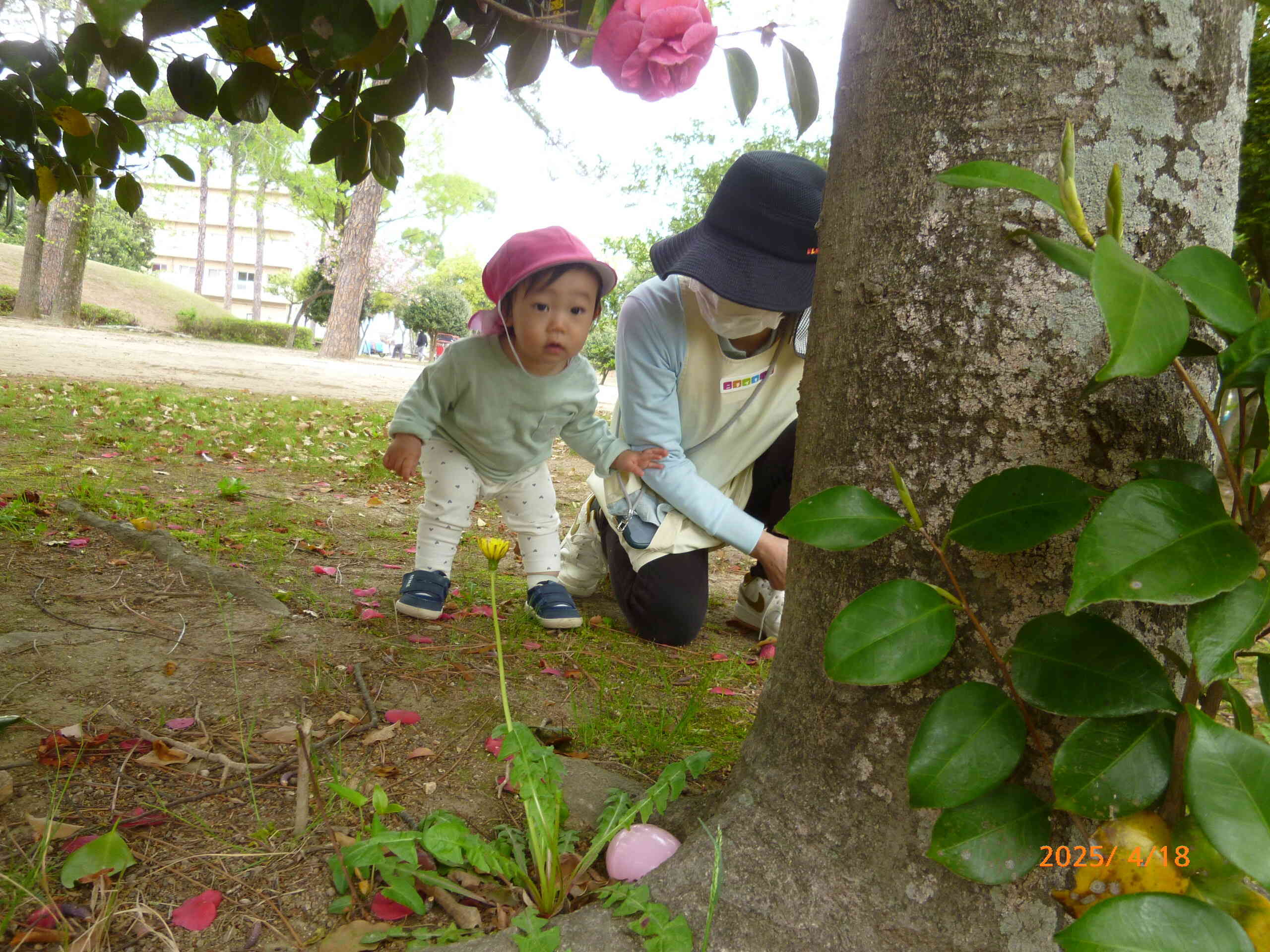 どこかな～？と探しているお友だちの目線の先に・・・「あ！」あったね！ま～るいたまご見つけたね～♡