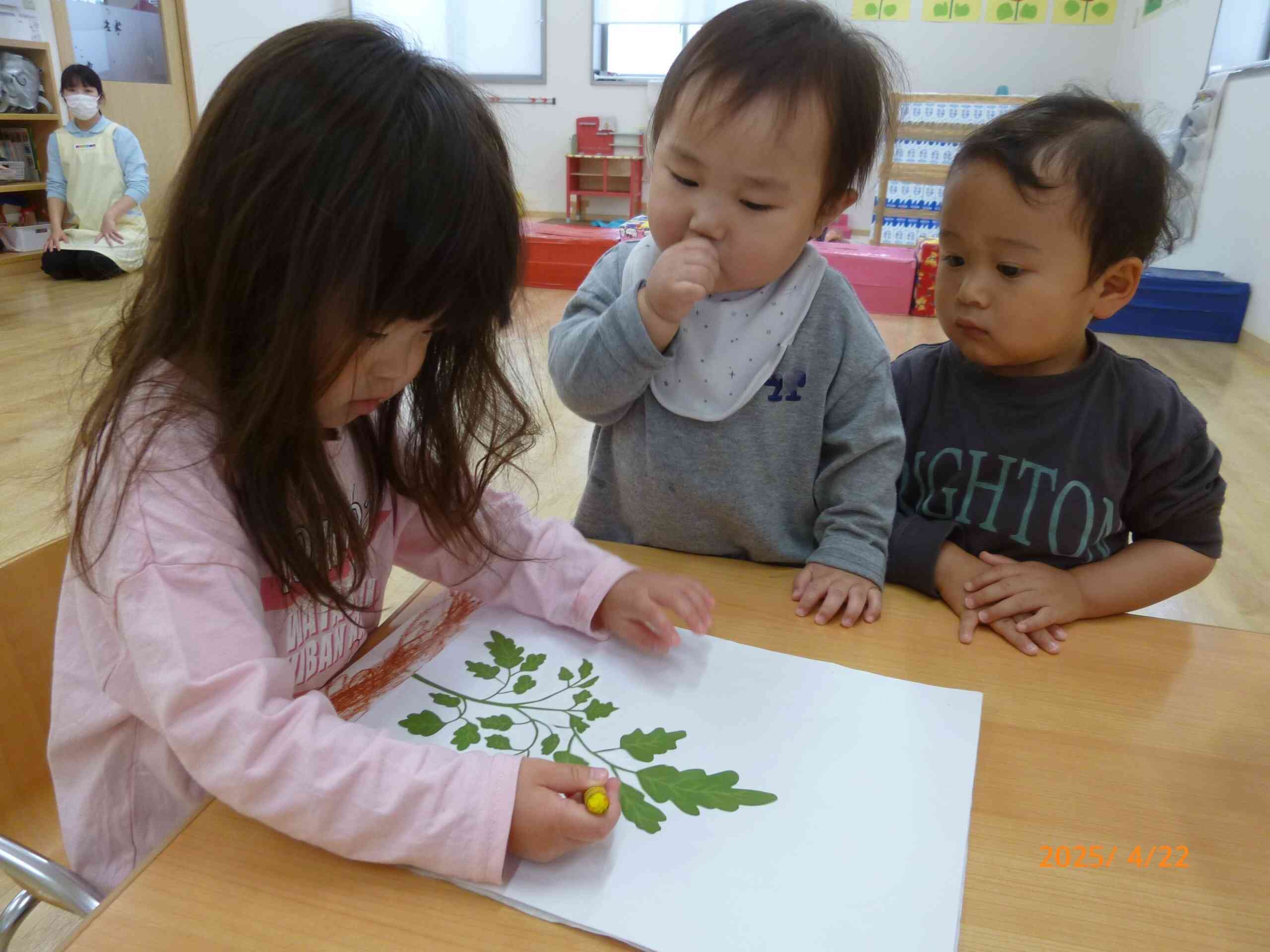 葉っぱが大きく、数が増えてきたことや黄色の小さな花があることに気が付いたお友だち。さっそく自分の観察記録に描き足していました。