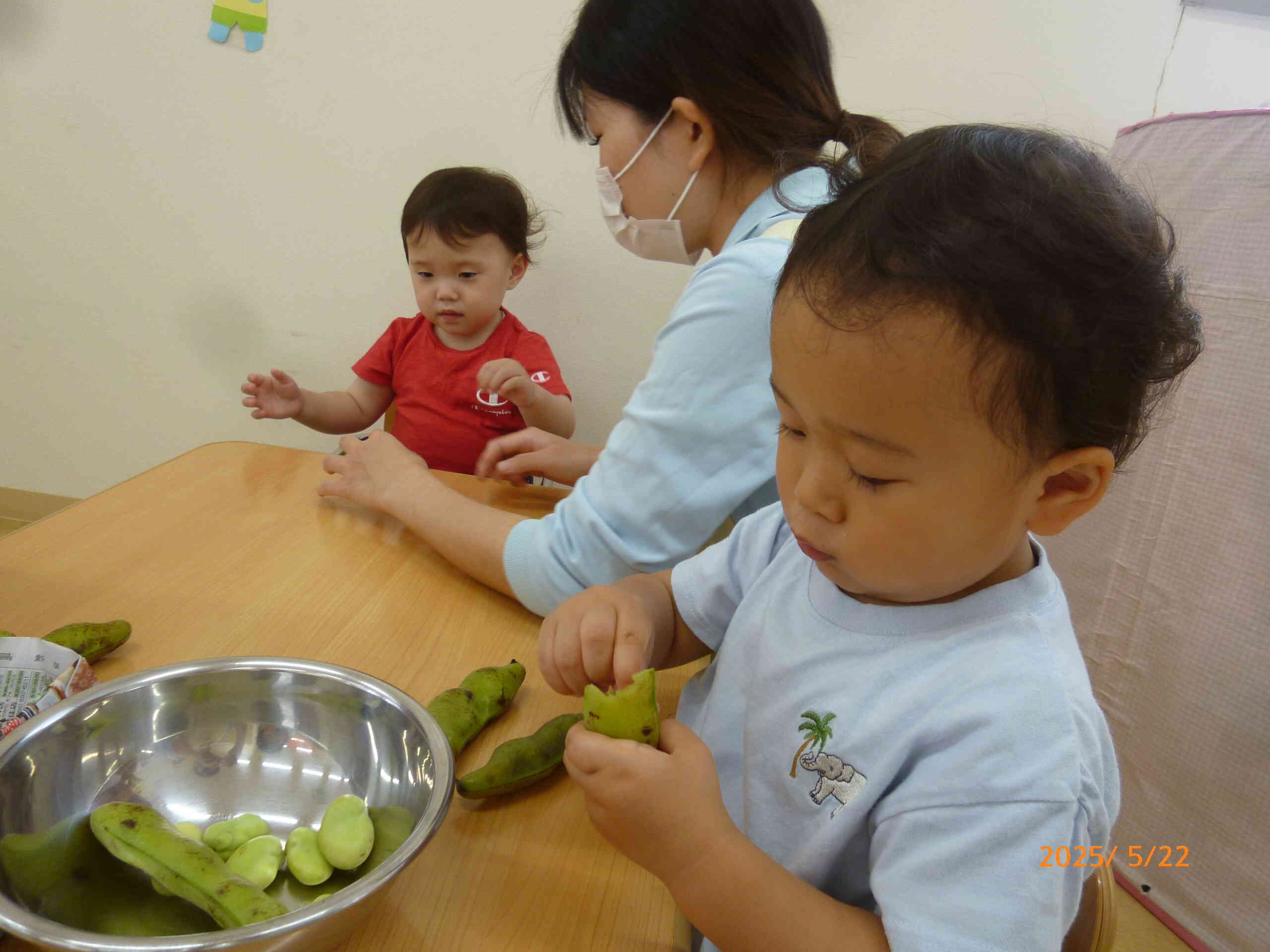 そら豆発見☆