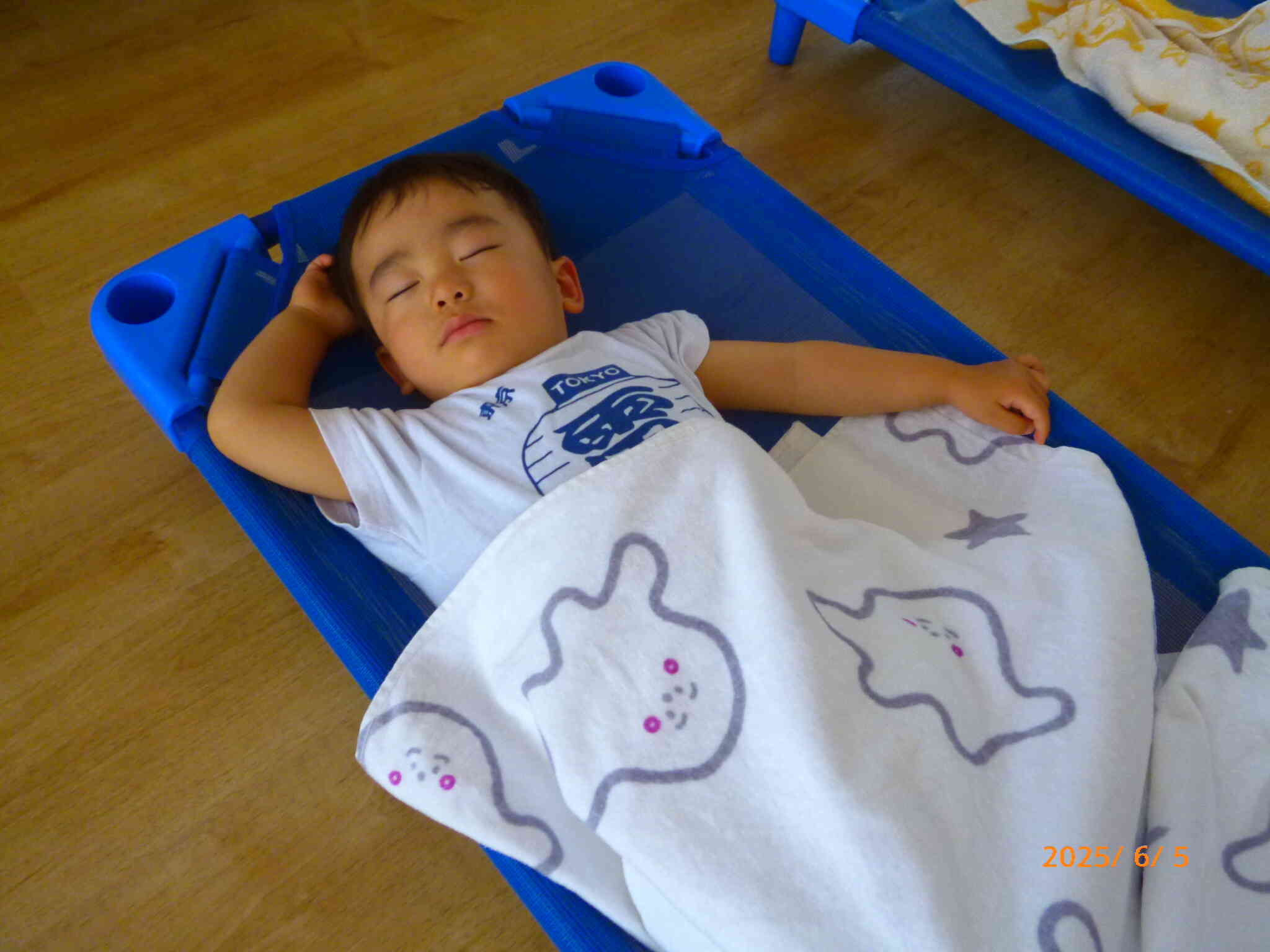 おもいっきり遊んで、おもいっきり食べたら...いつの間にかスヤスヤ夢の中へ...。どんな夢をみているのかなぁ♡