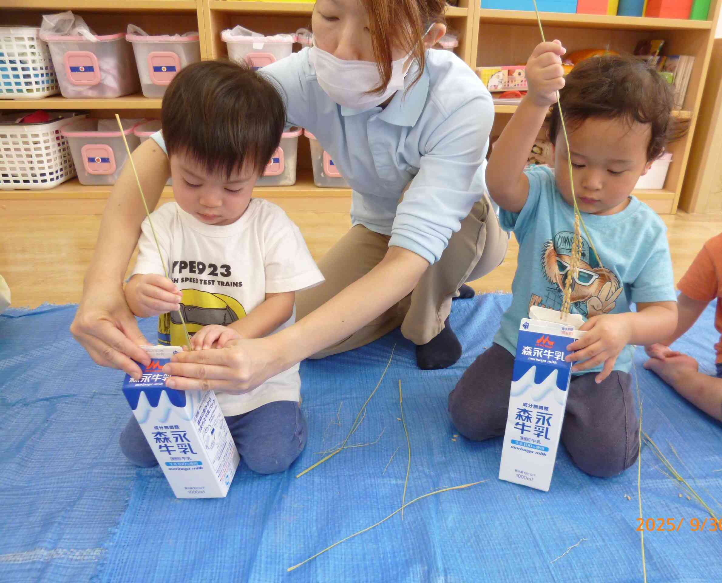 脱穀ってなぁに?