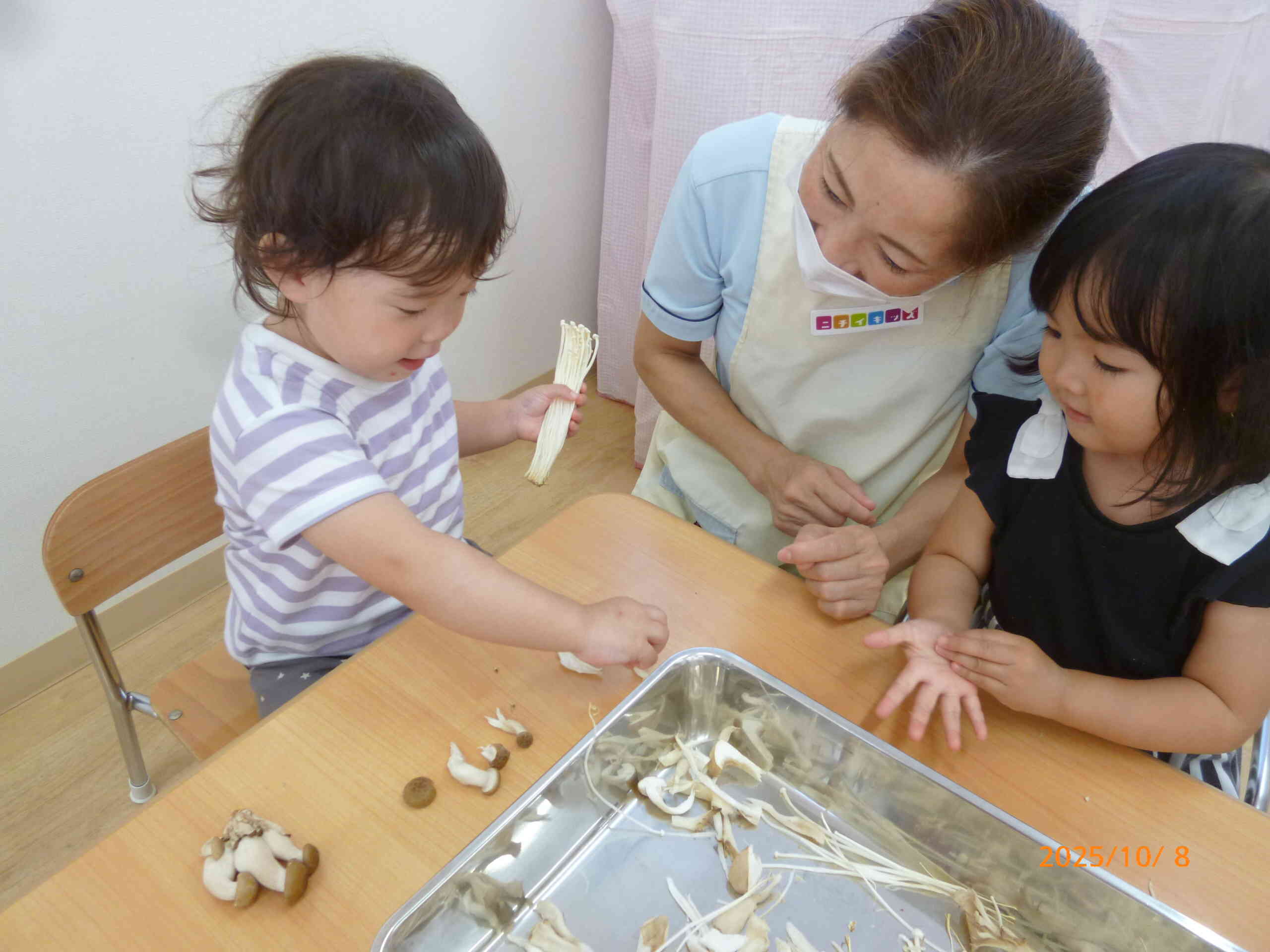 きのこたちを家族に見立てているお友だち発見☆「これママ、パパ、ねえね…じいじ、ばあば…」と並べて家族団らんきのこさんたちですよ。