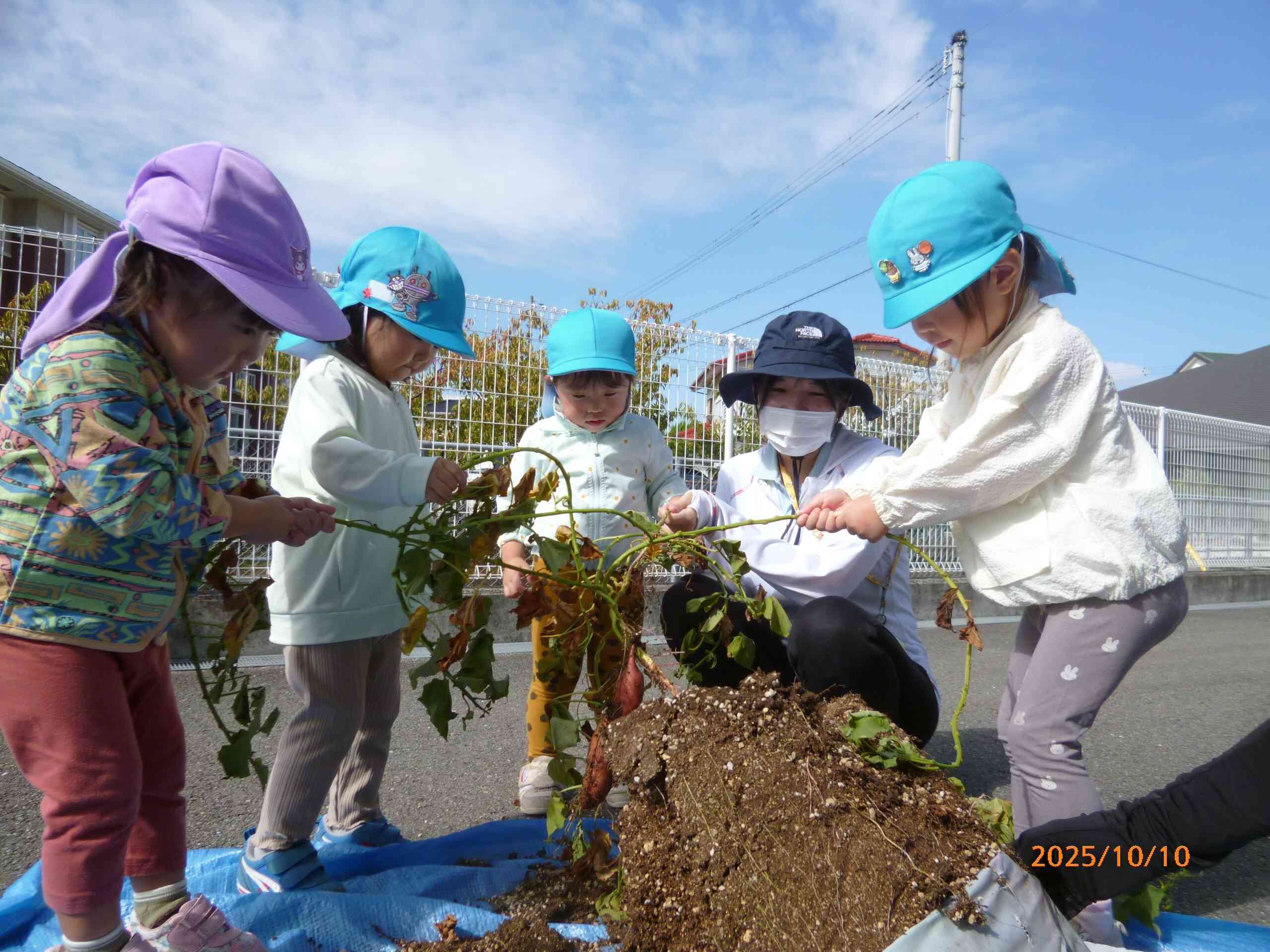 うんとこしょ　どっこいしょ