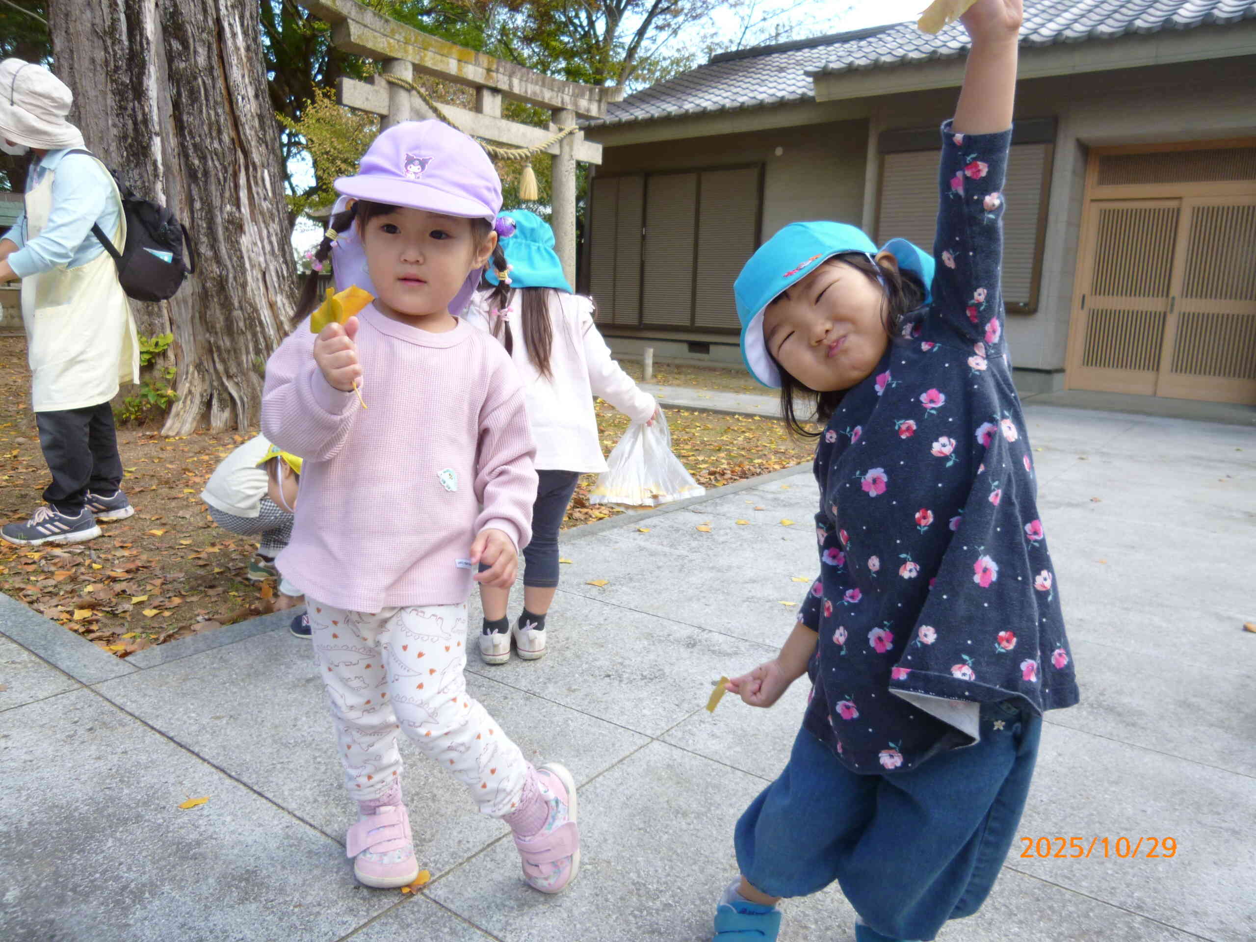 「みてみてぇーー！」とイチョウの葉っぱを見つけた2人♡いいのみつけたね！と先生が伝えると「そうでしょ♪」のポージング！嬉しい気持ちが伝わってきました。