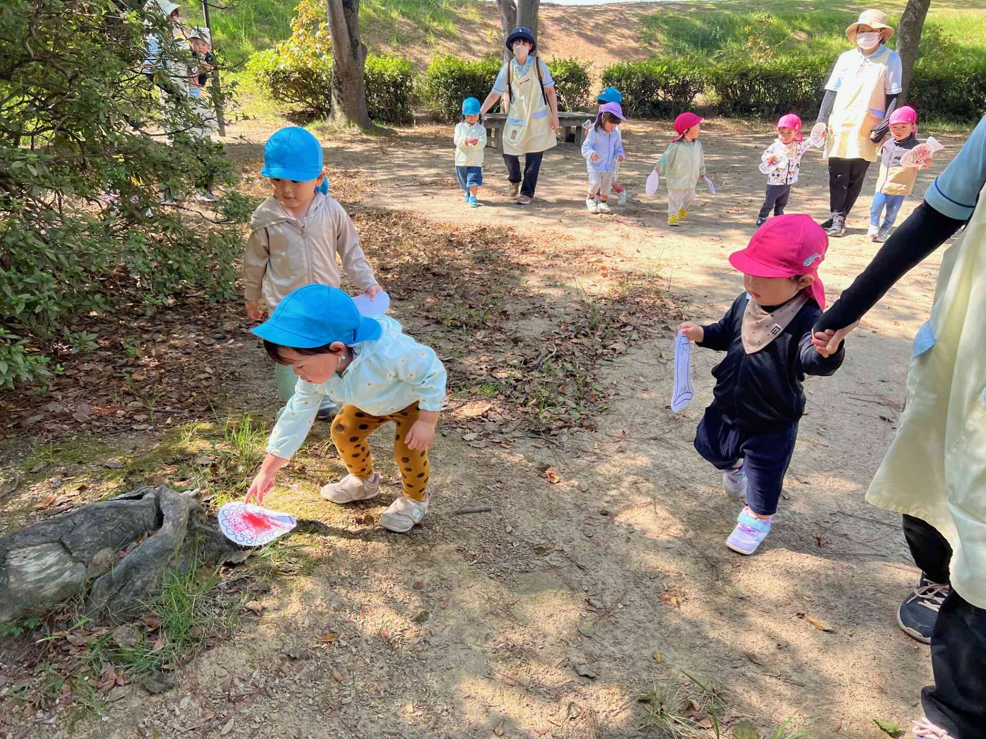 発見☆カラフルきのこ!!