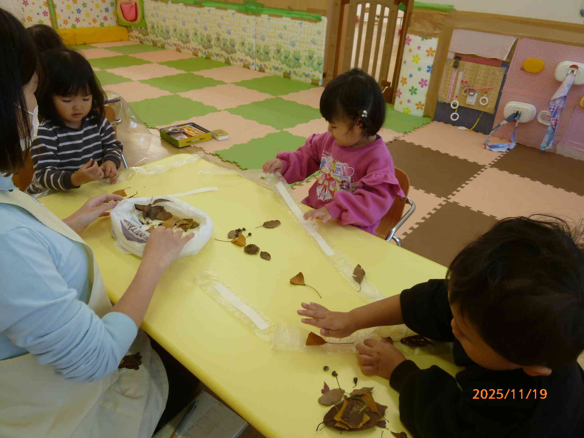 落ち葉でカーテンをつくっちゃおう！