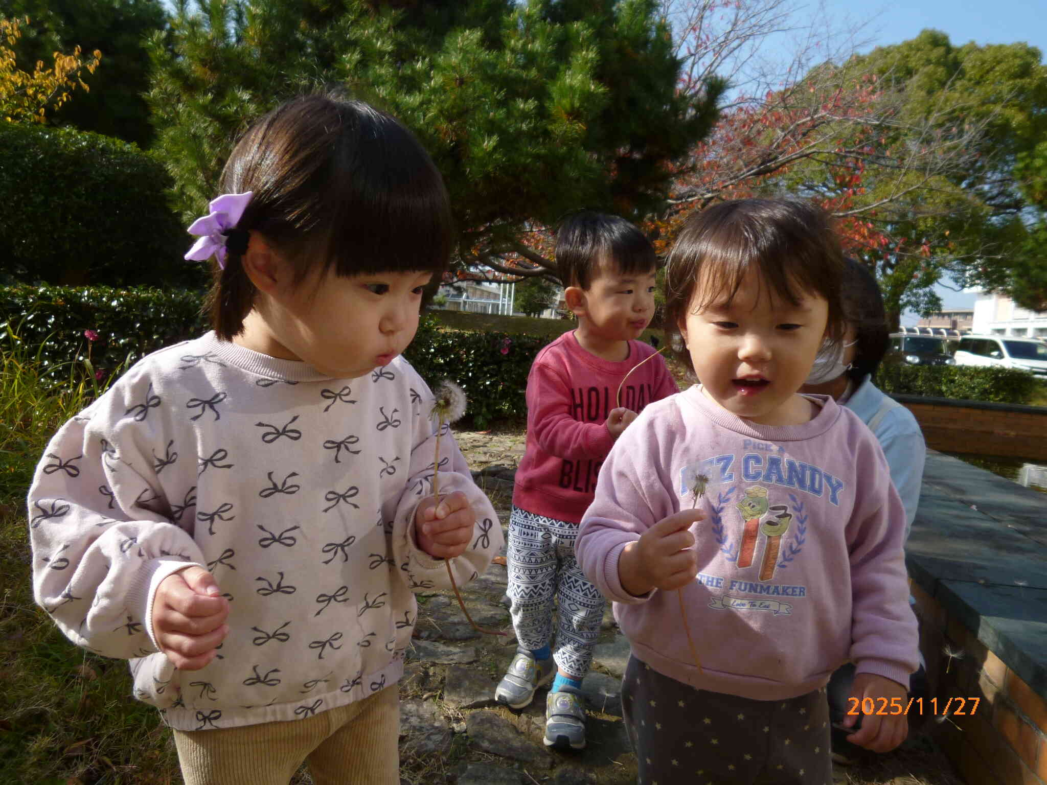 訓練後は高校の敷地内を散策させてもらいました。たんぽぽのわたげを見つけたお友だち。ふぅ~って飛ばしたり、追いかけたり♡訓練が終わってしばしのほのぼのタイムを楽しみました。