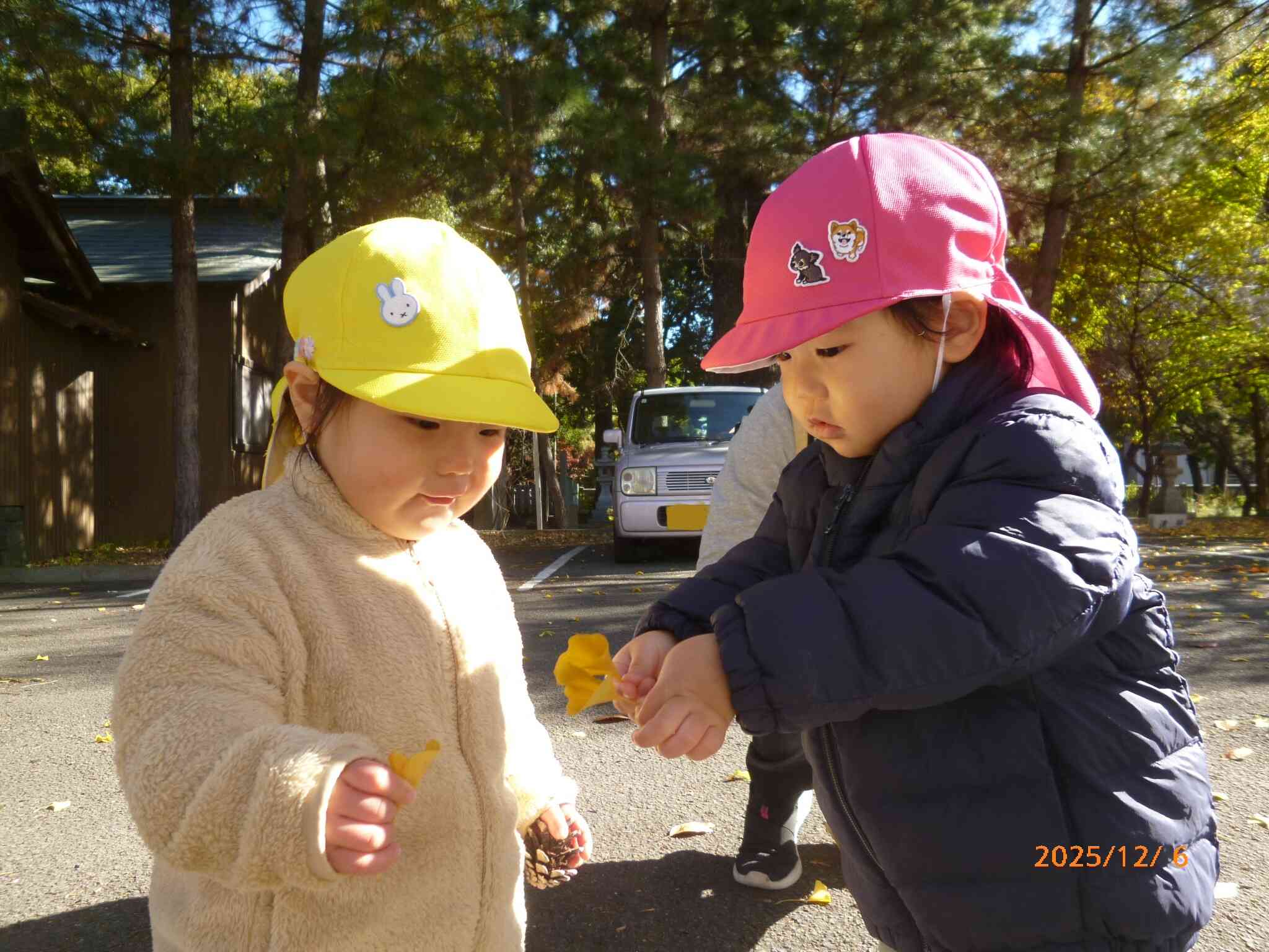 きれいなイチョウの葉っぱを見つけたお友だち。下組のお友だちに「ど～ぞ」って手渡していました。