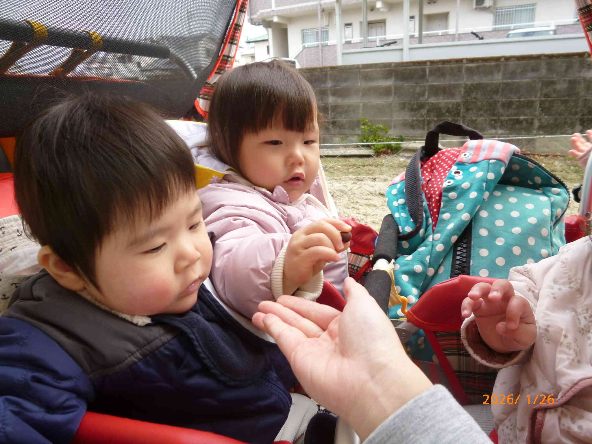 周辺散歩にでかけたある日、上組さんたちが小さなどんぐりを発見！「どんぐりだよ」って見せてくれました。小さなどんぐりを不思議そうに見つめるお友だちでした♡