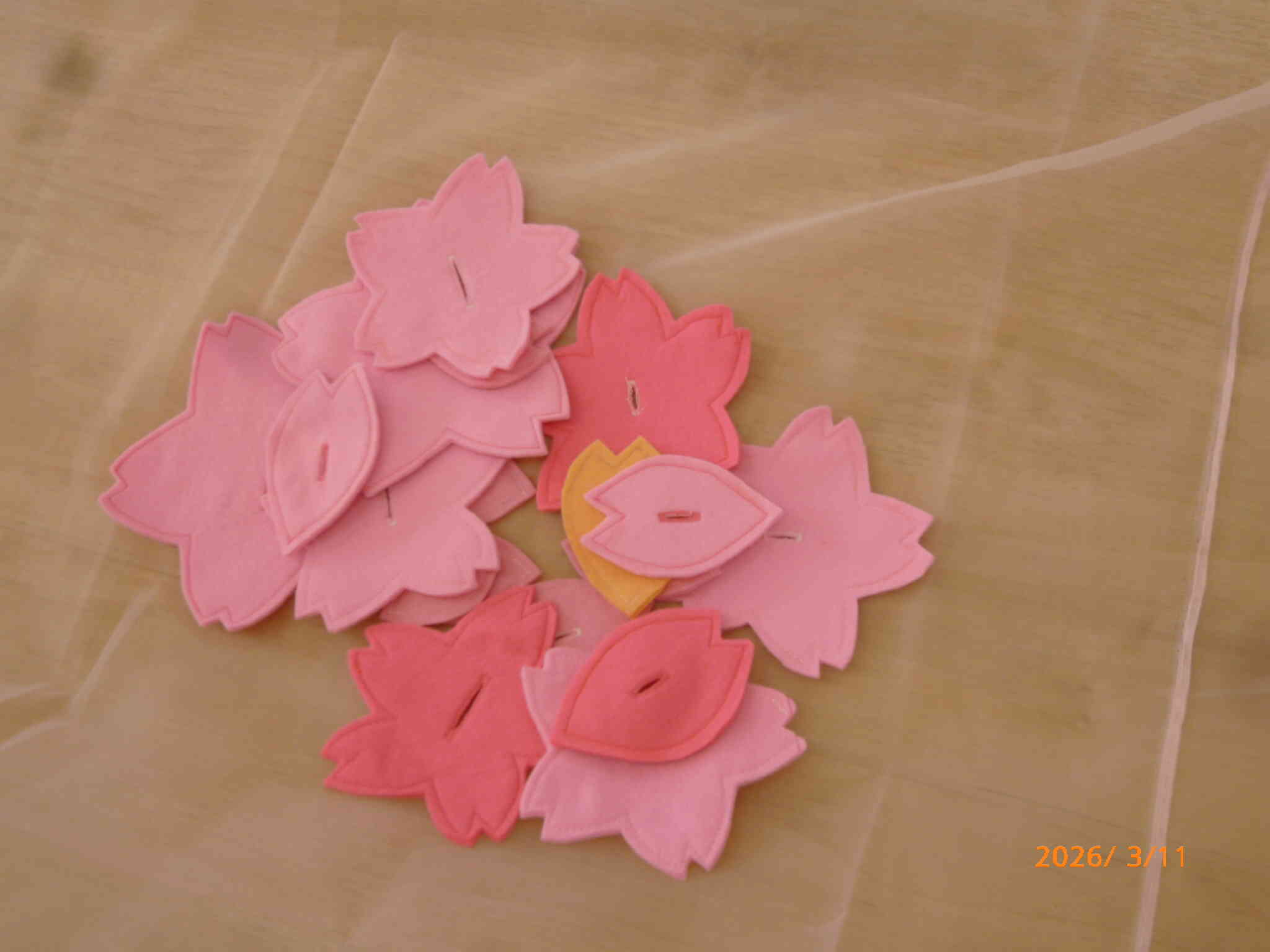 まあちゃんのリトミック〜part1〜