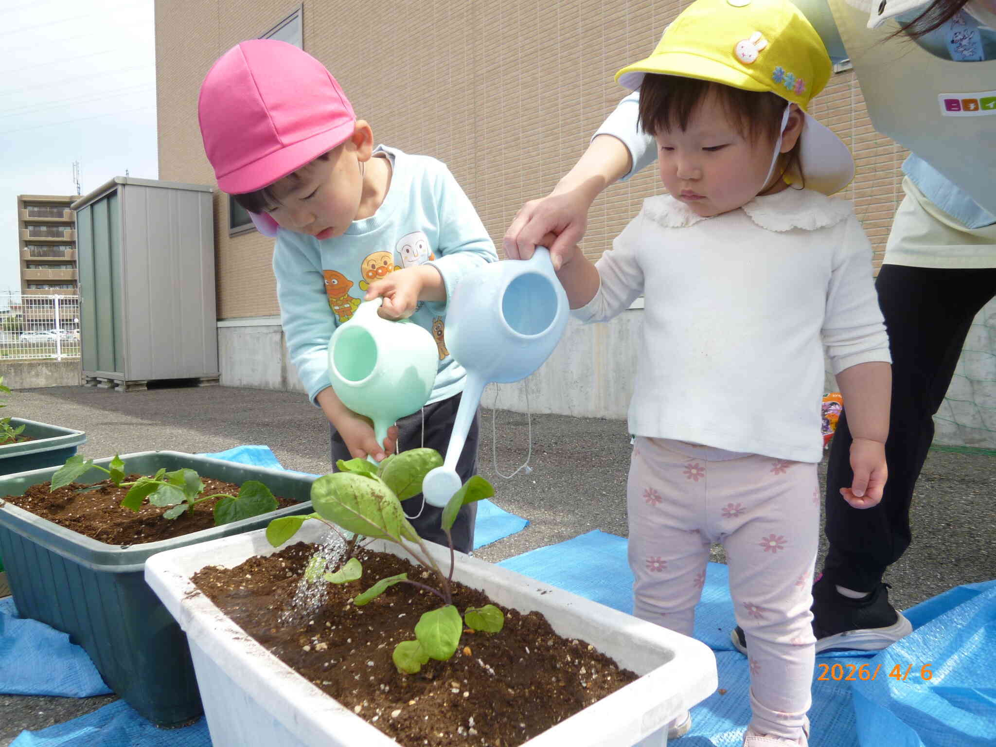 水やり中
