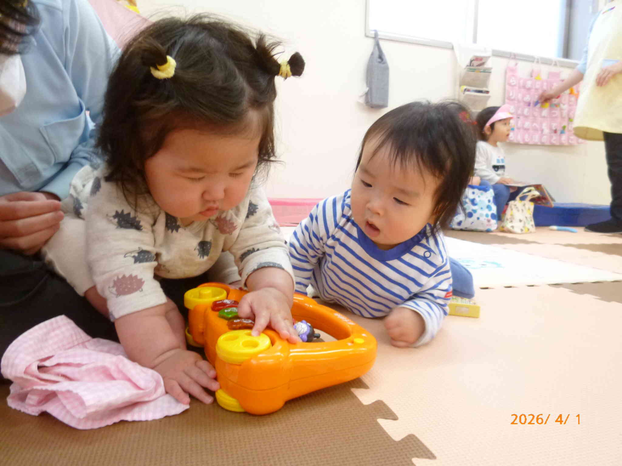 これ、なんだろう⁉