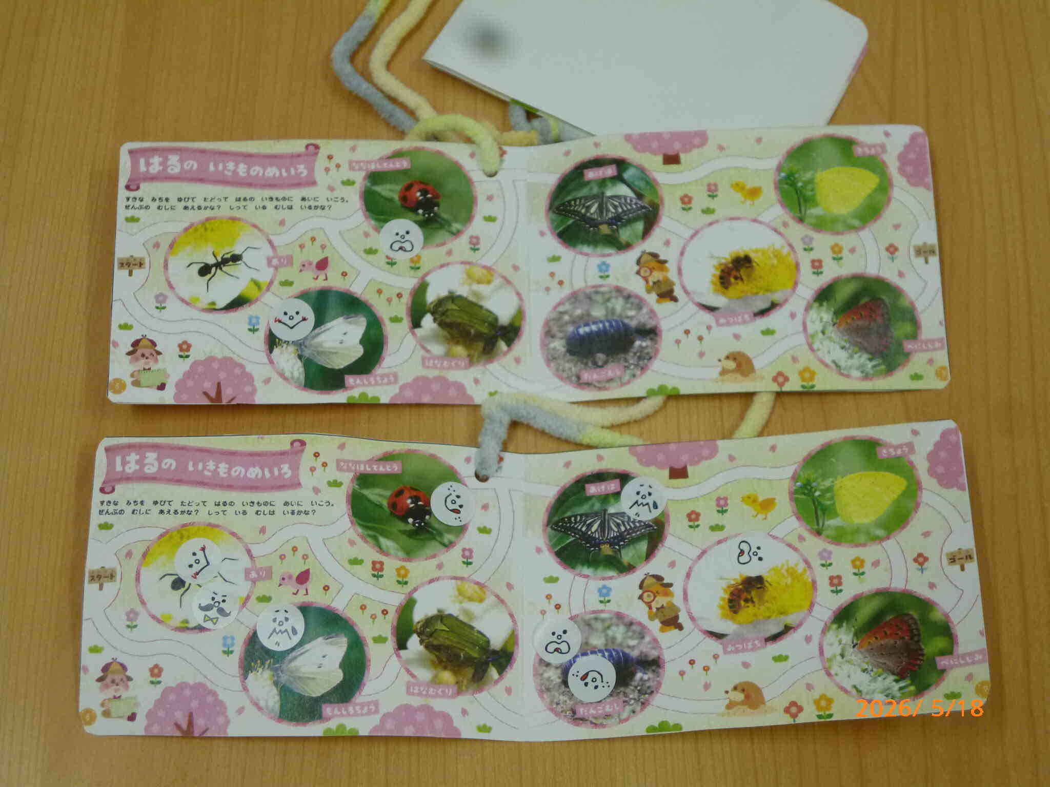 春探しへレッツゴー！