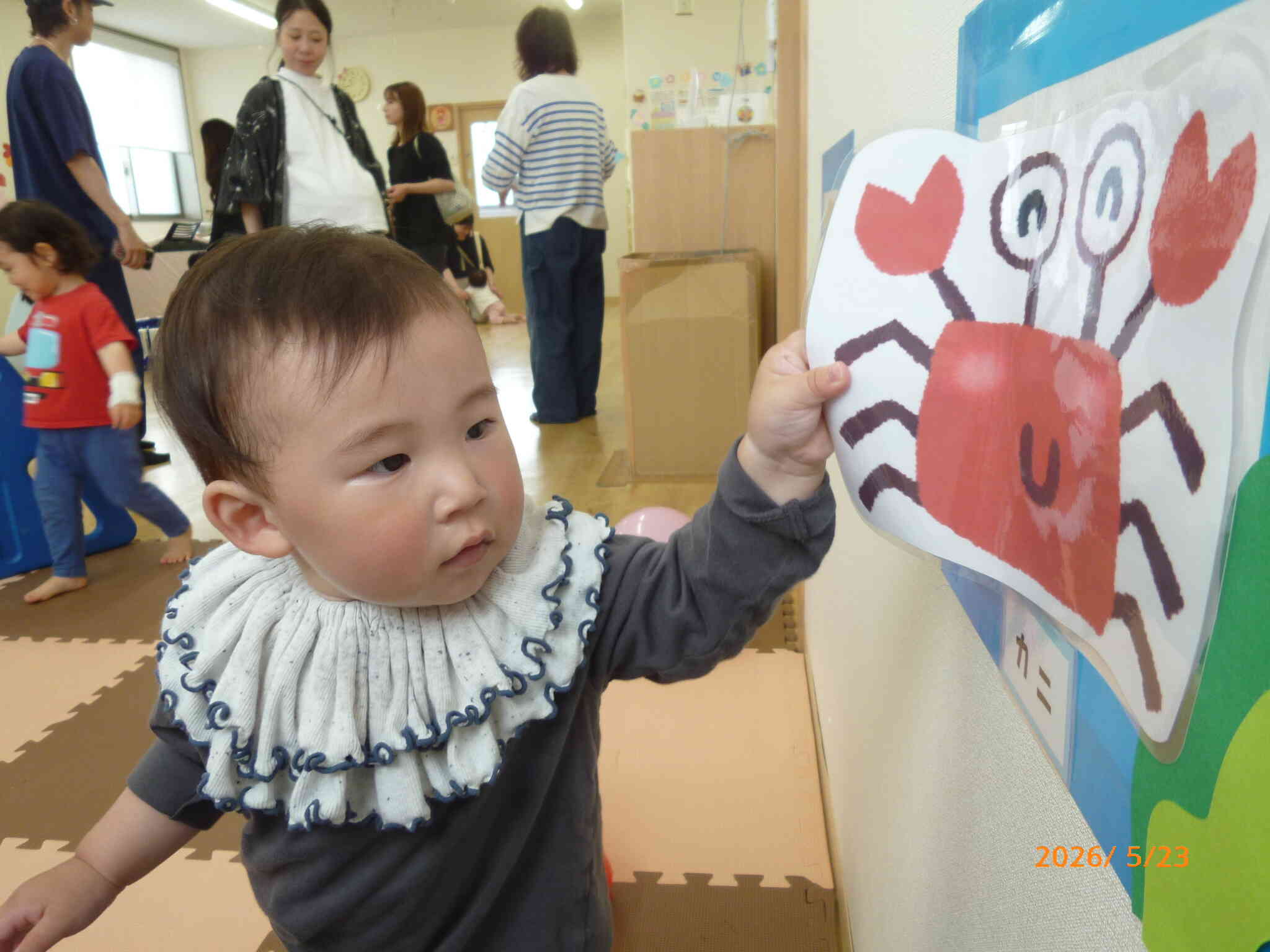 かにさん、み～つけた！かにさんパズルもお見事‼次はどんな生き物と出会えるかな⁉