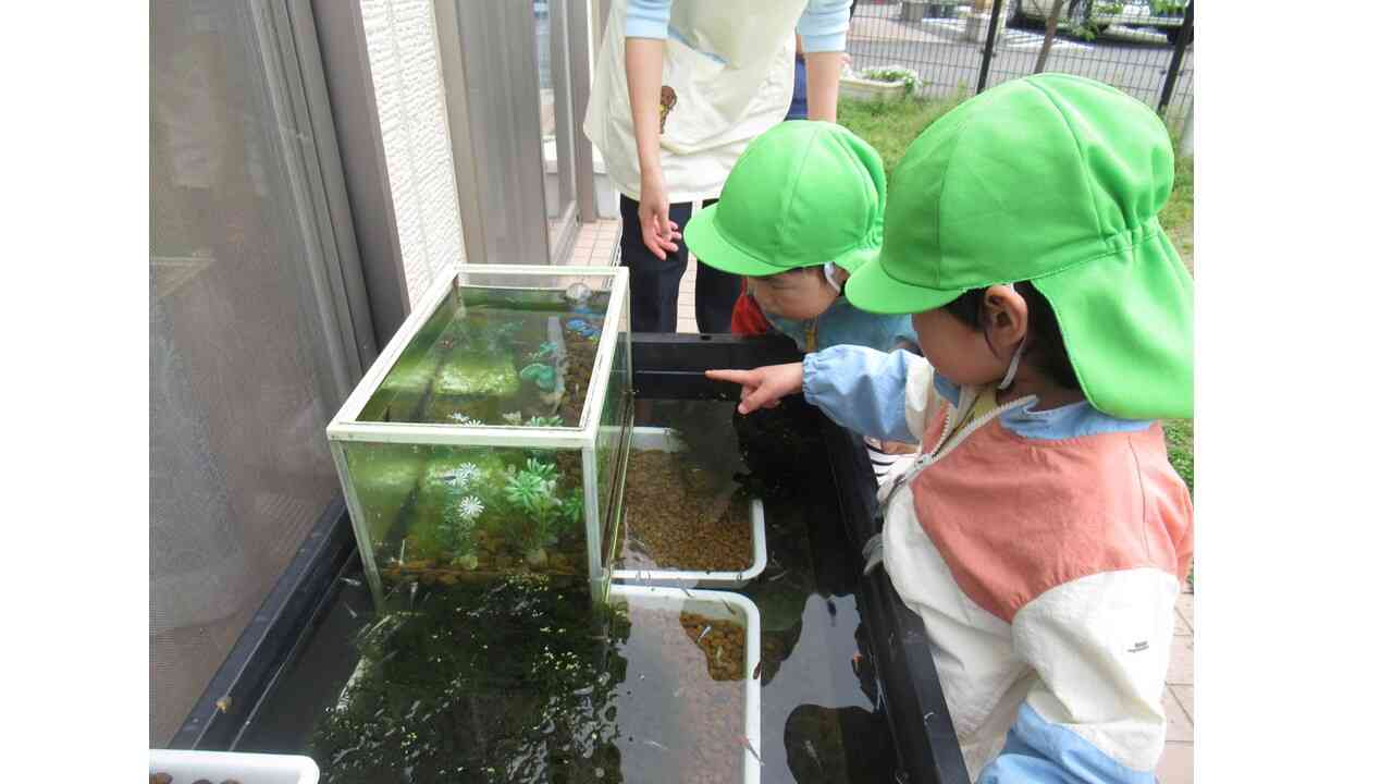 春探しをしたよ！