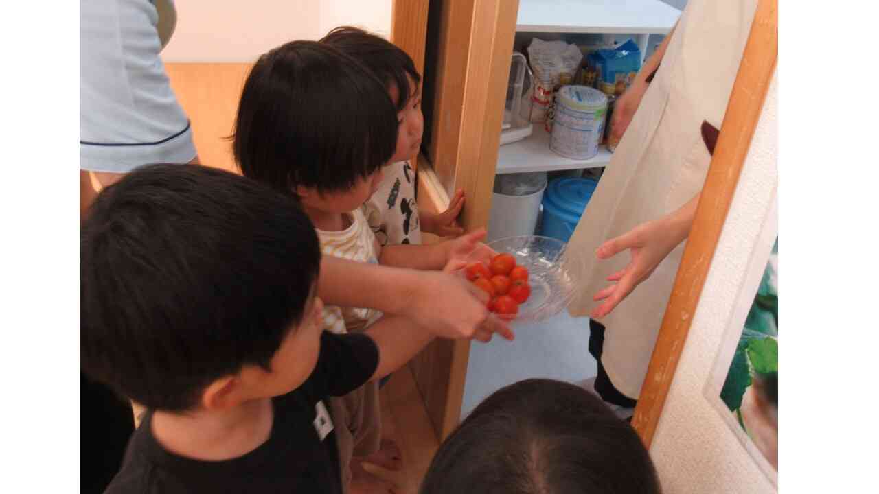 給食室へ届けました！「こんなに採れたよ～！」