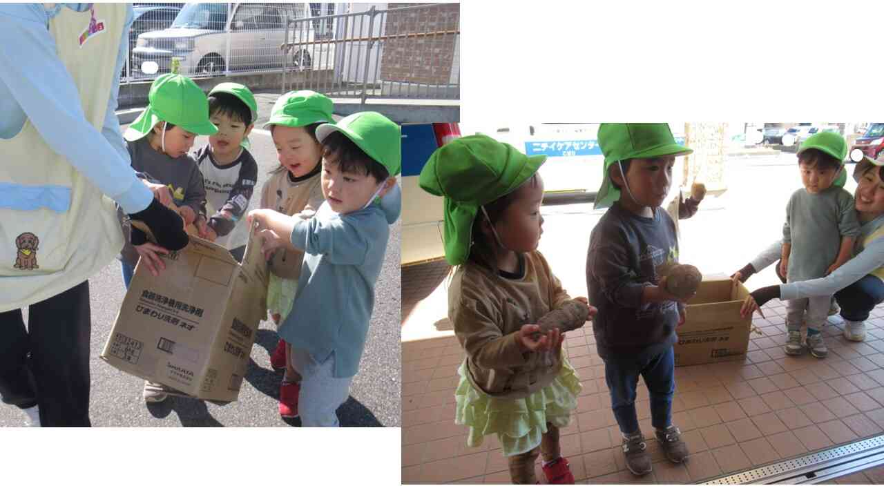 わっしょい、わっしょい！