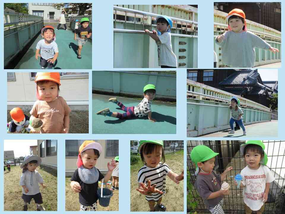 散歩や庭で遊んでいます！！