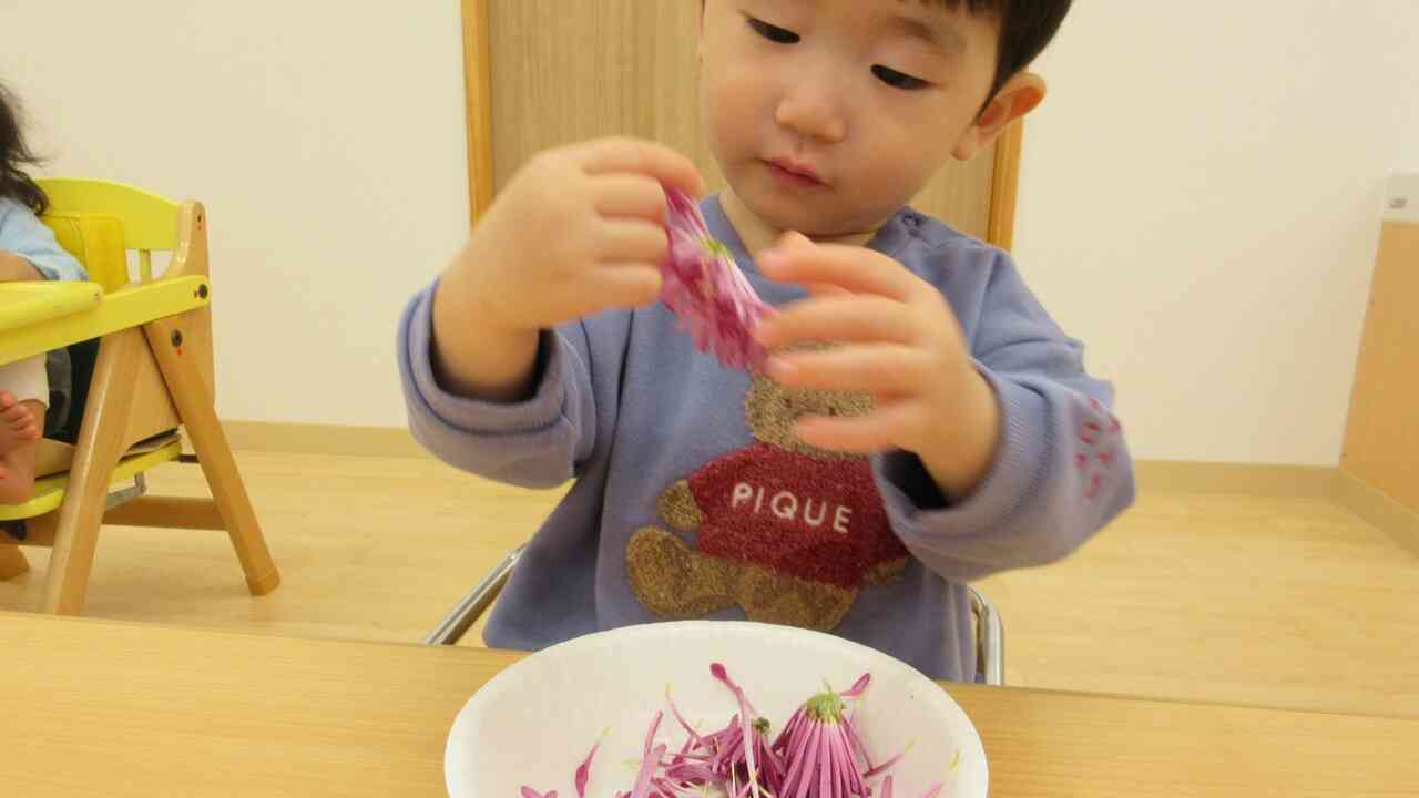 かきのもとってなあに？