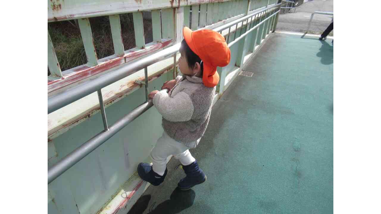 お散歩大好き！