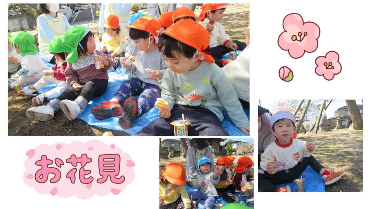 近くの神社でお花見