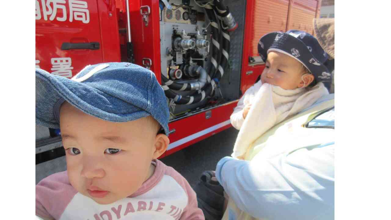 こんなに近くで！