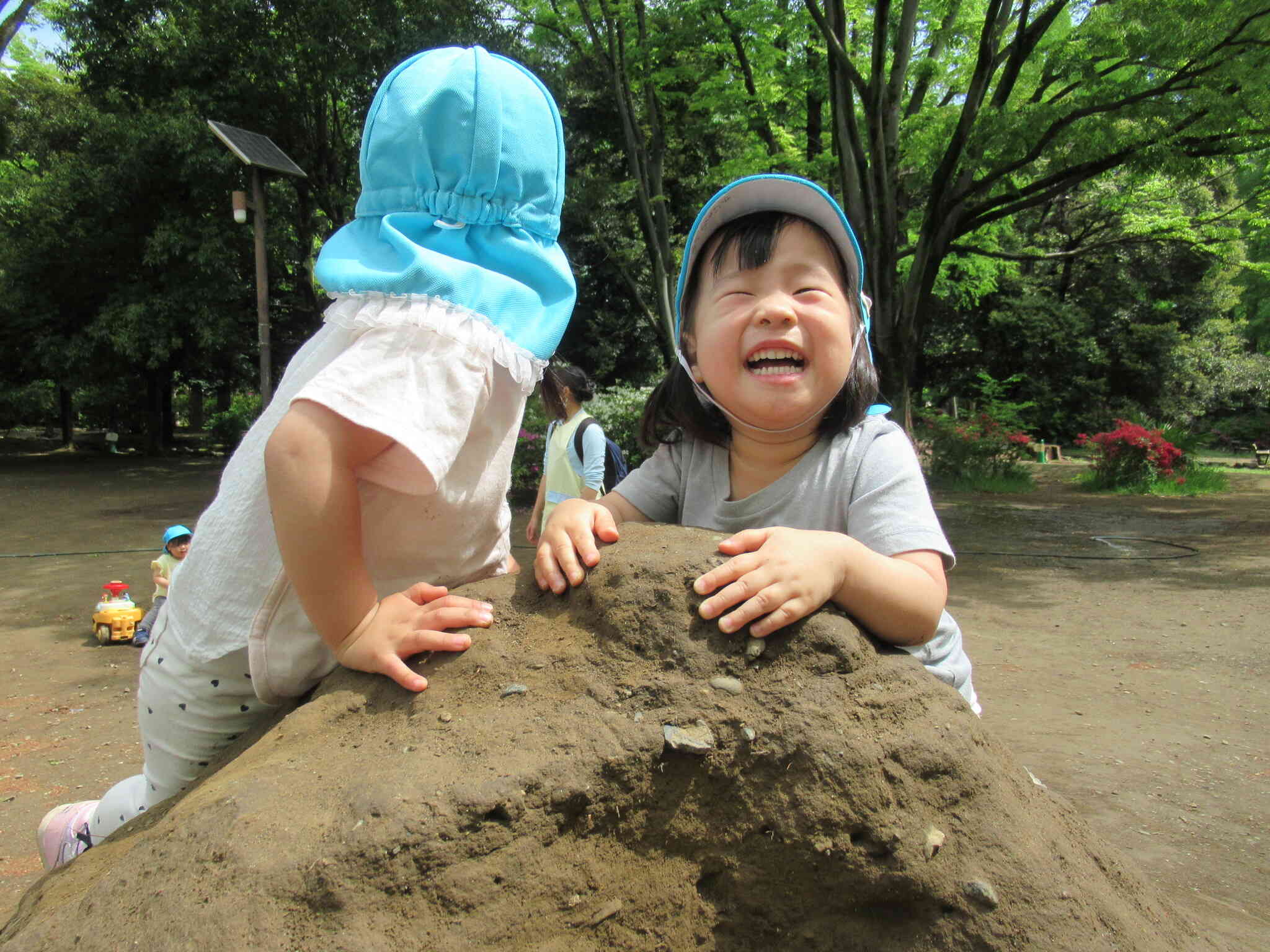 お山に登ってみるよ