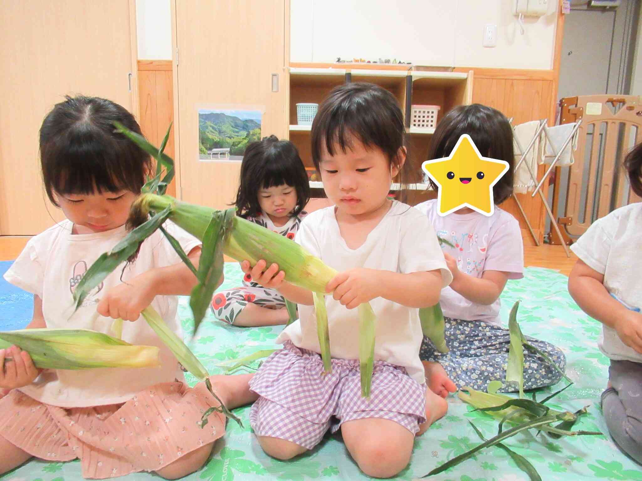 夏の野菜、とうもろこし