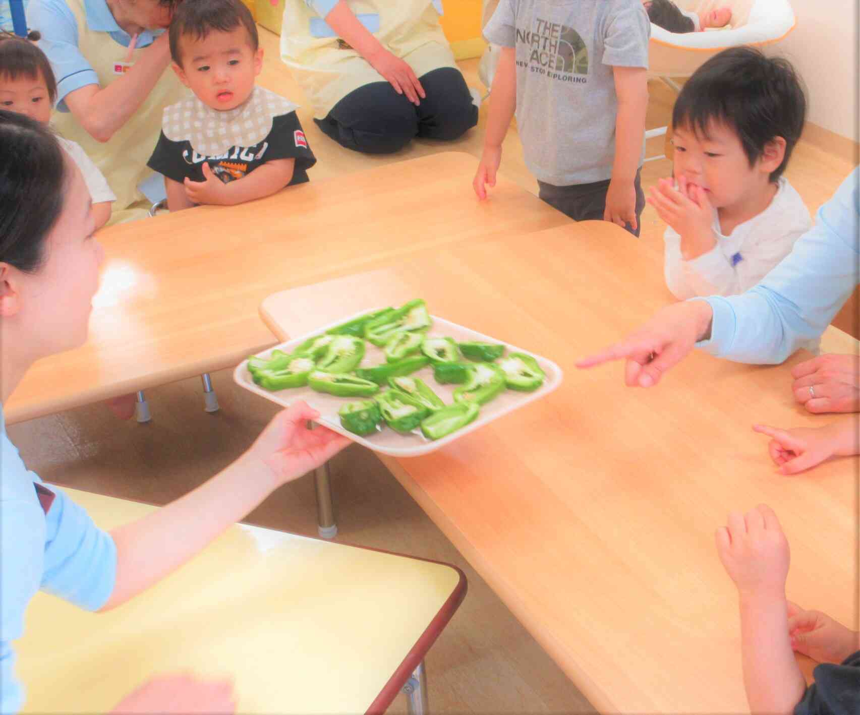 ピーマンの登場だぁ！　早く触ってみたいな♪