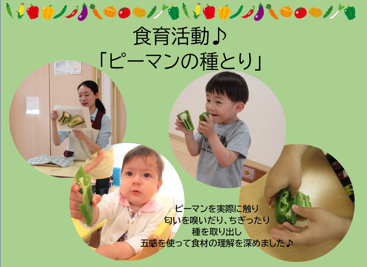 食育活動について♪
