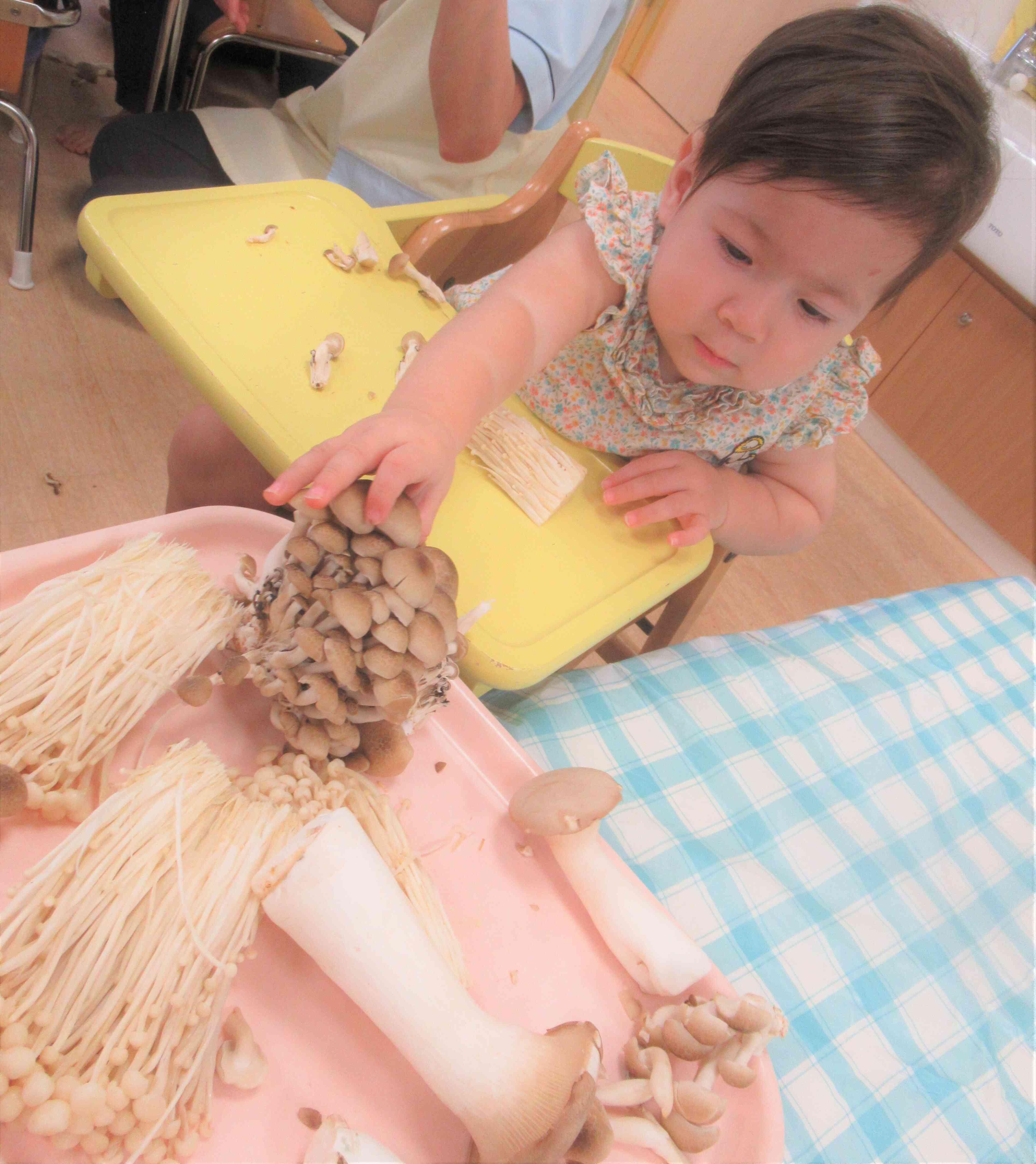 きのこさんとおともだちになれたね☆