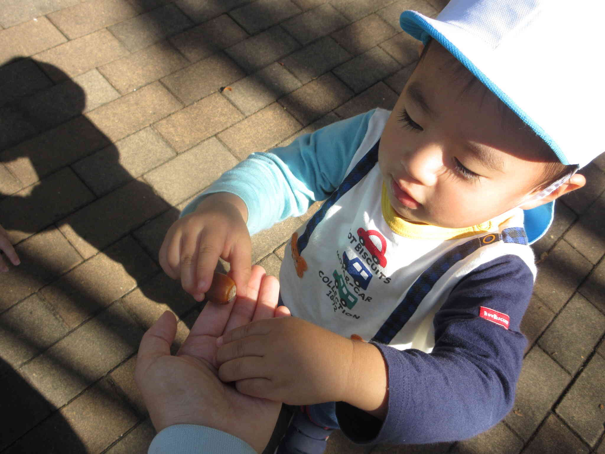 秋の自然を探しに