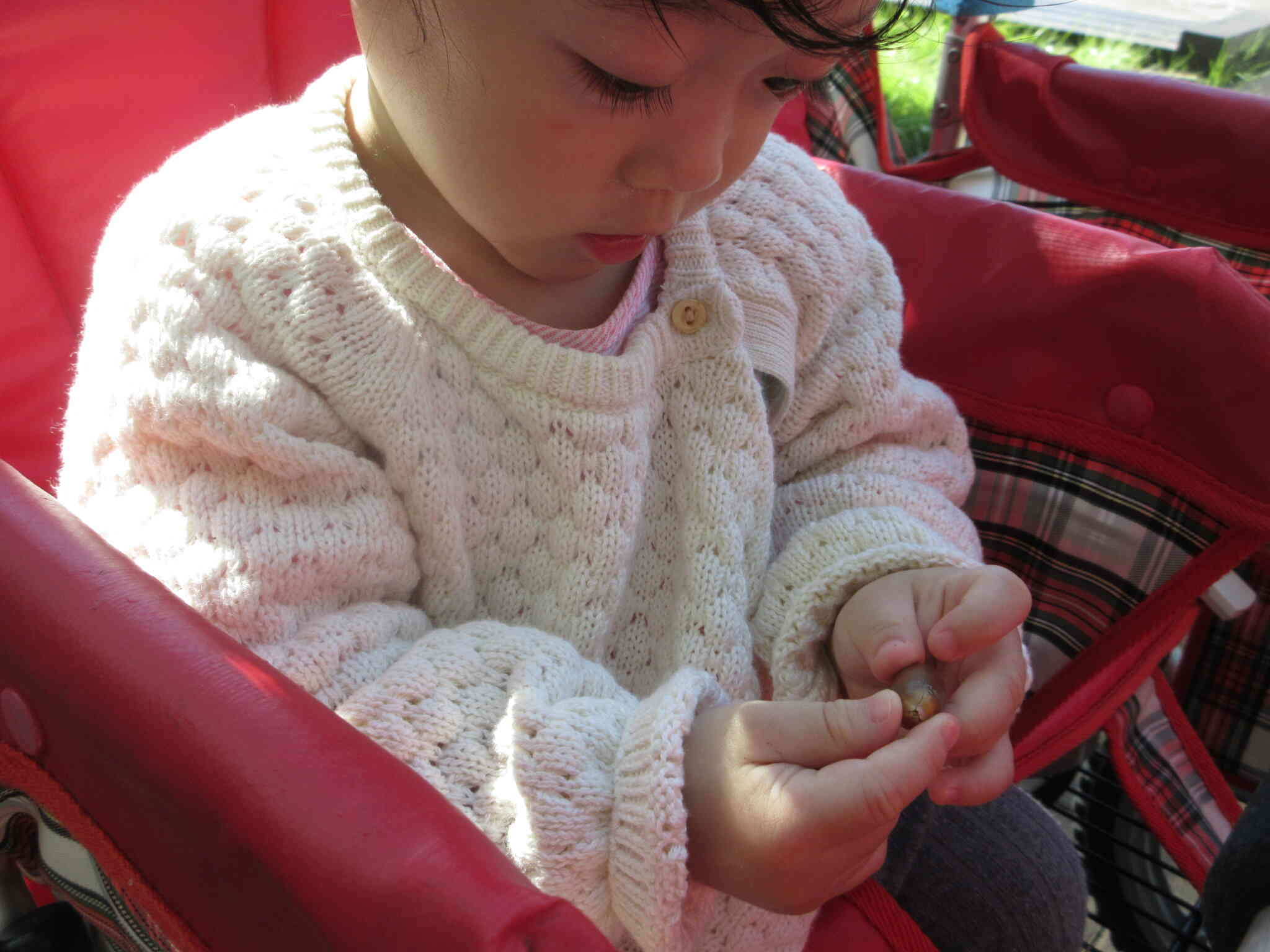 どんぐりころころ～♪