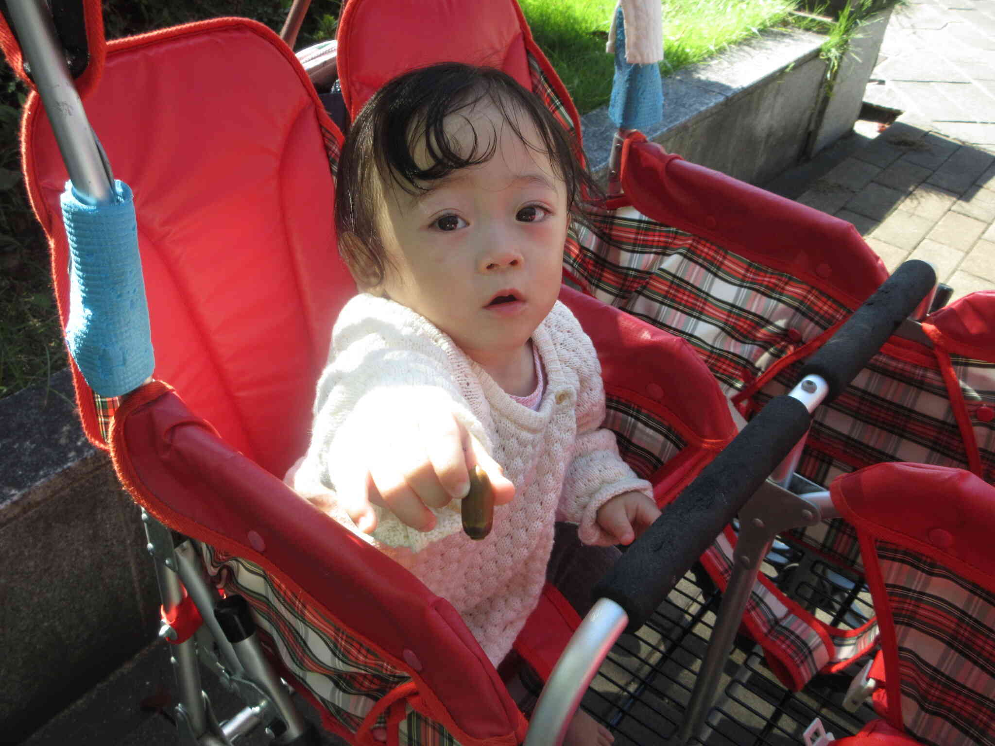 「どんぐりいっぱいみつけたよ！」