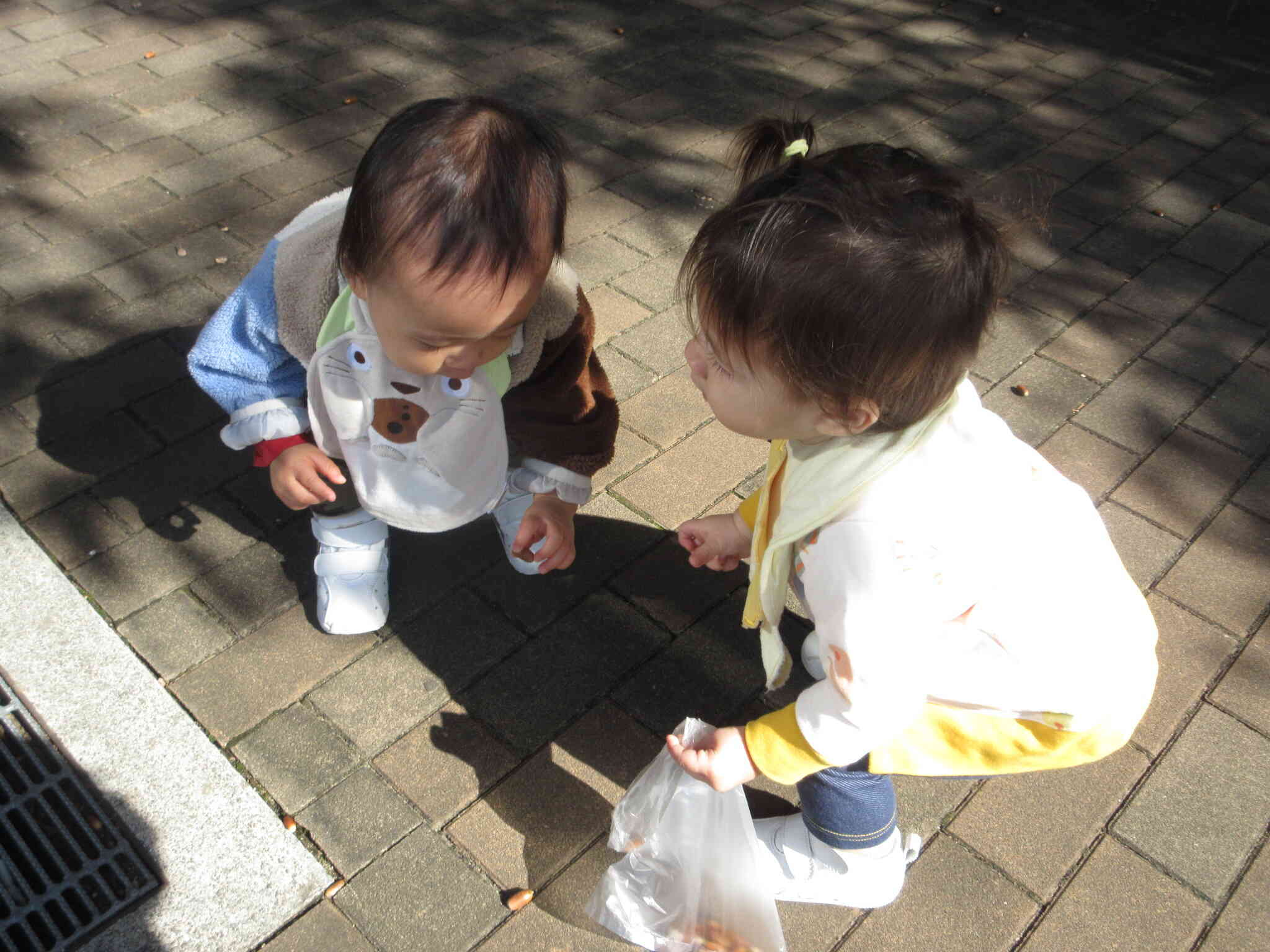 お友達と一緒に