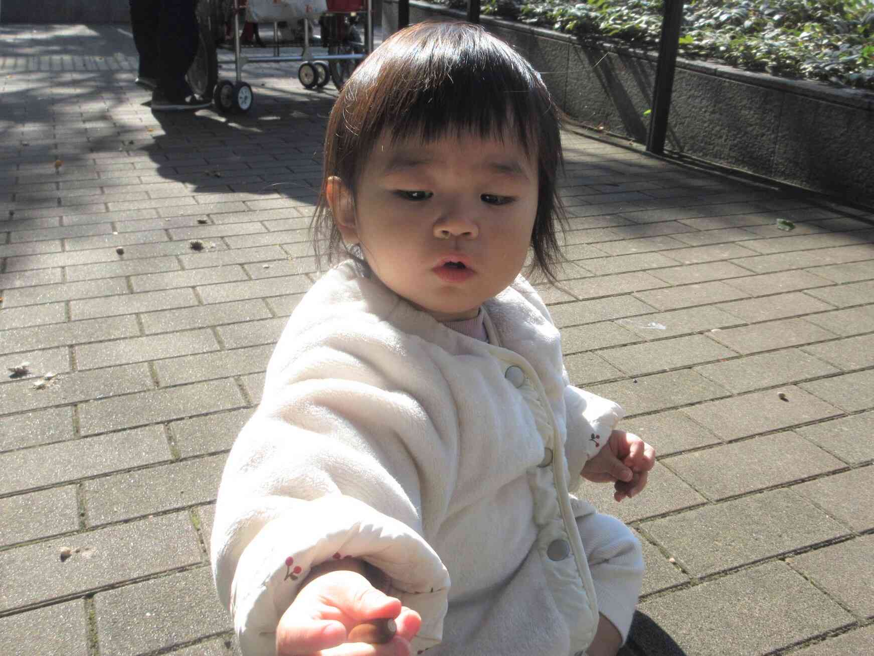 どんぐり見つけたよ！