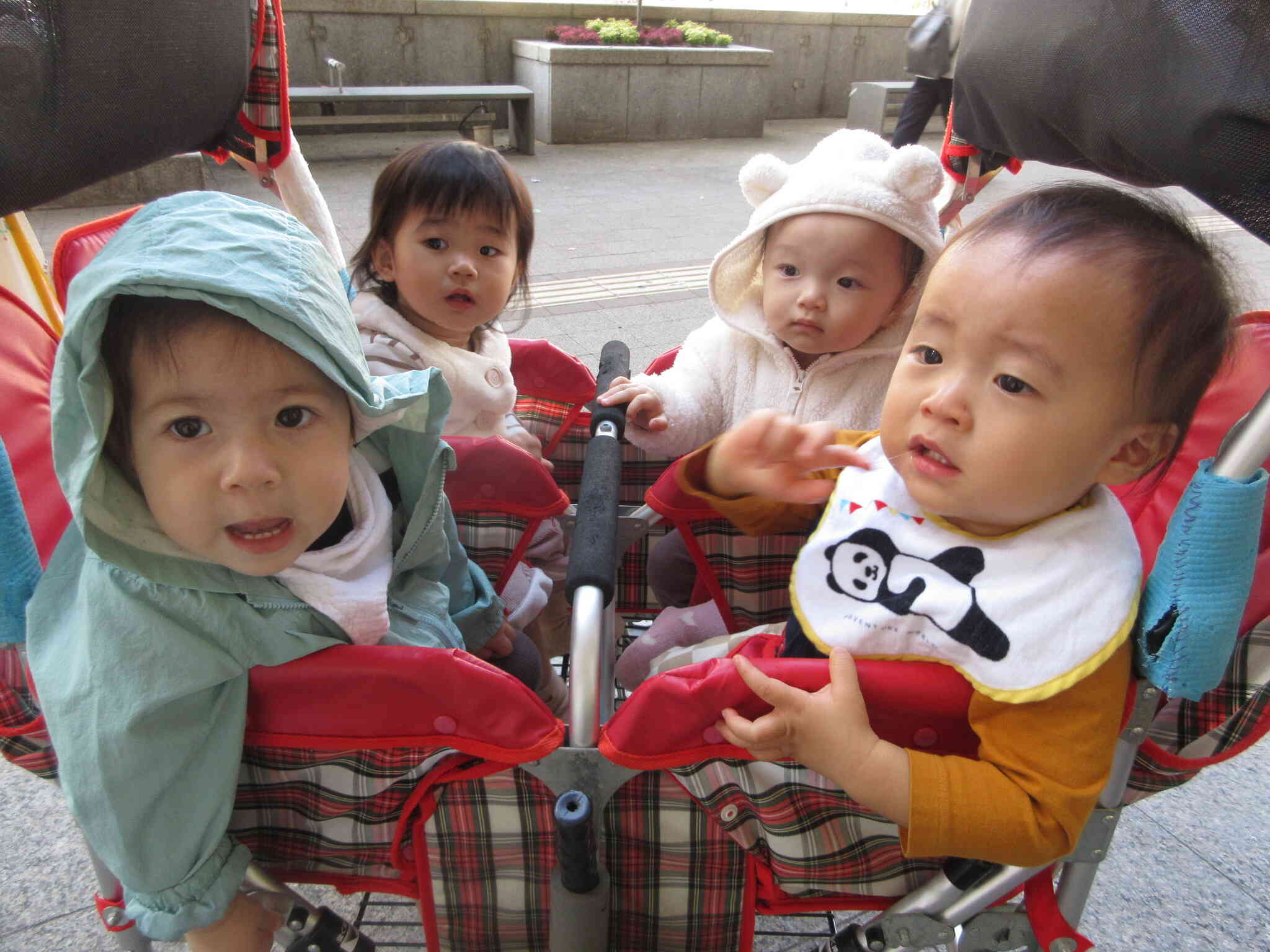 お散歩大好き‼