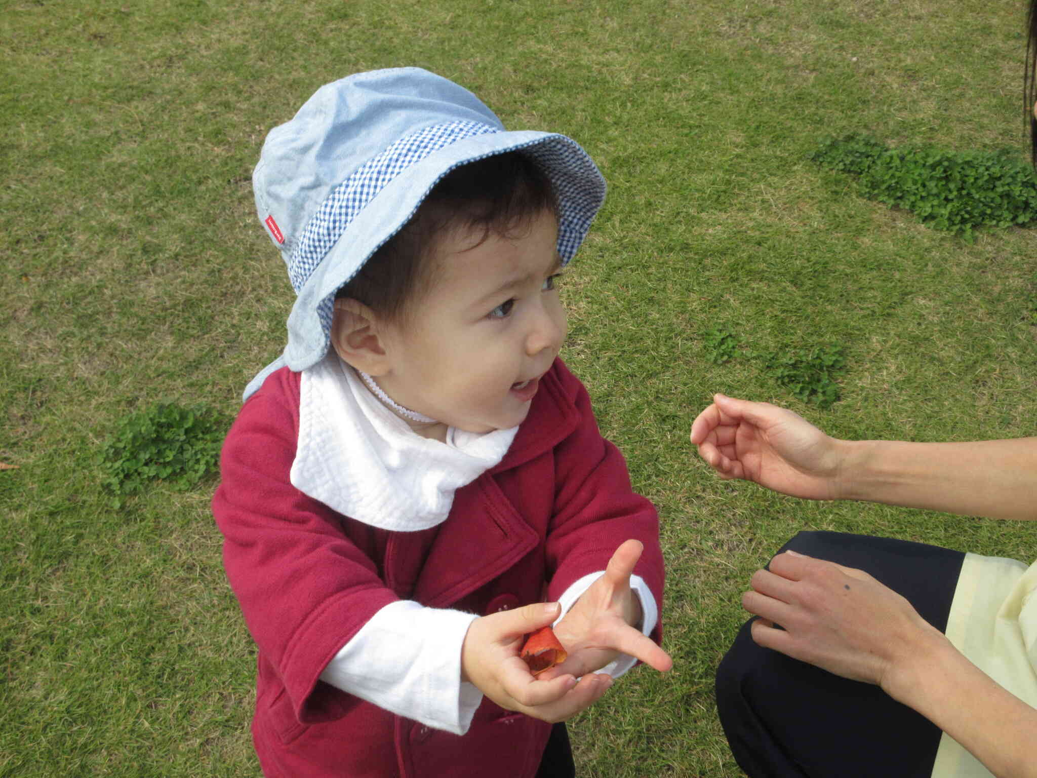 きれいな色した落ち葉見ーつけた！