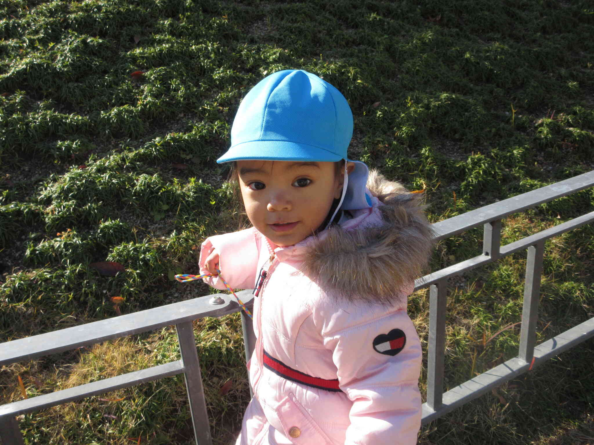 何かを発見！！