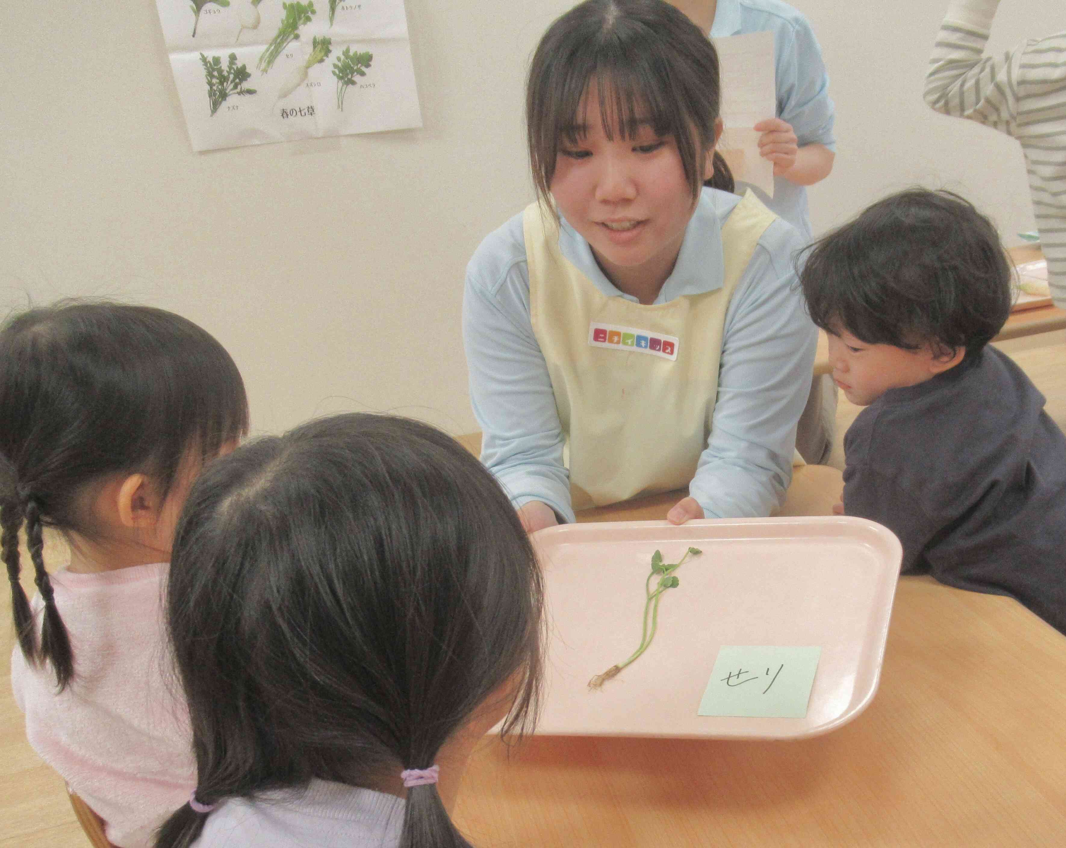 みんなで見てみよう♪