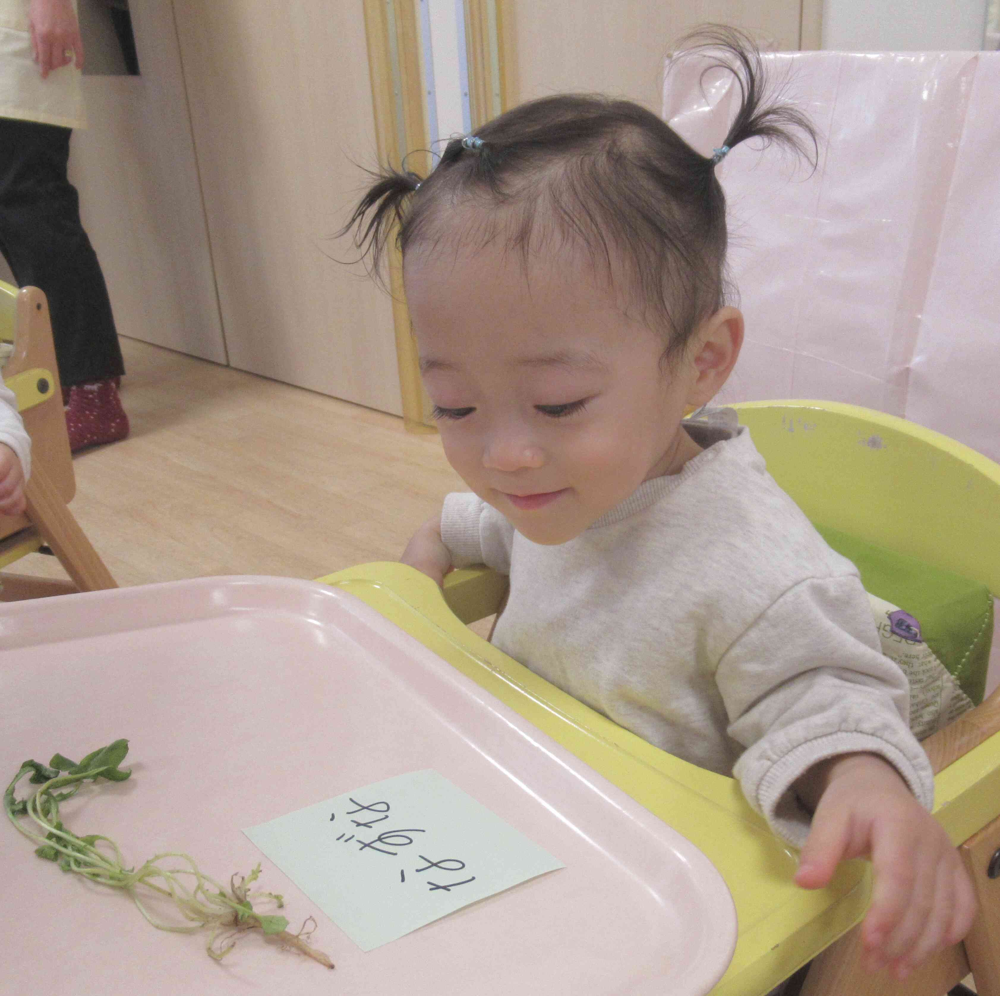 これは、なずなだよ♪