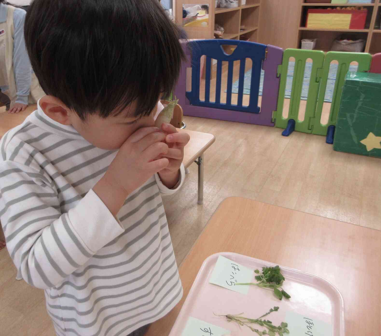 どんな匂いがしたかな？？