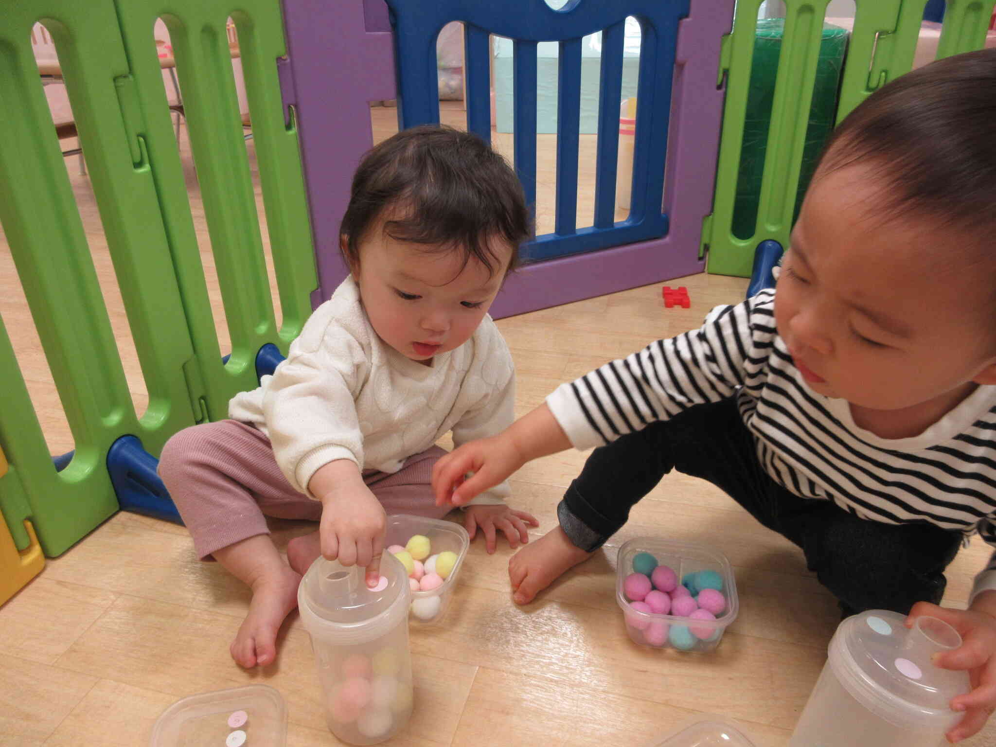 ０歳児ひよこ組さんはコットンポンポン遊びを楽しんでいます。指先を使って容器にどんどん入れていきます。