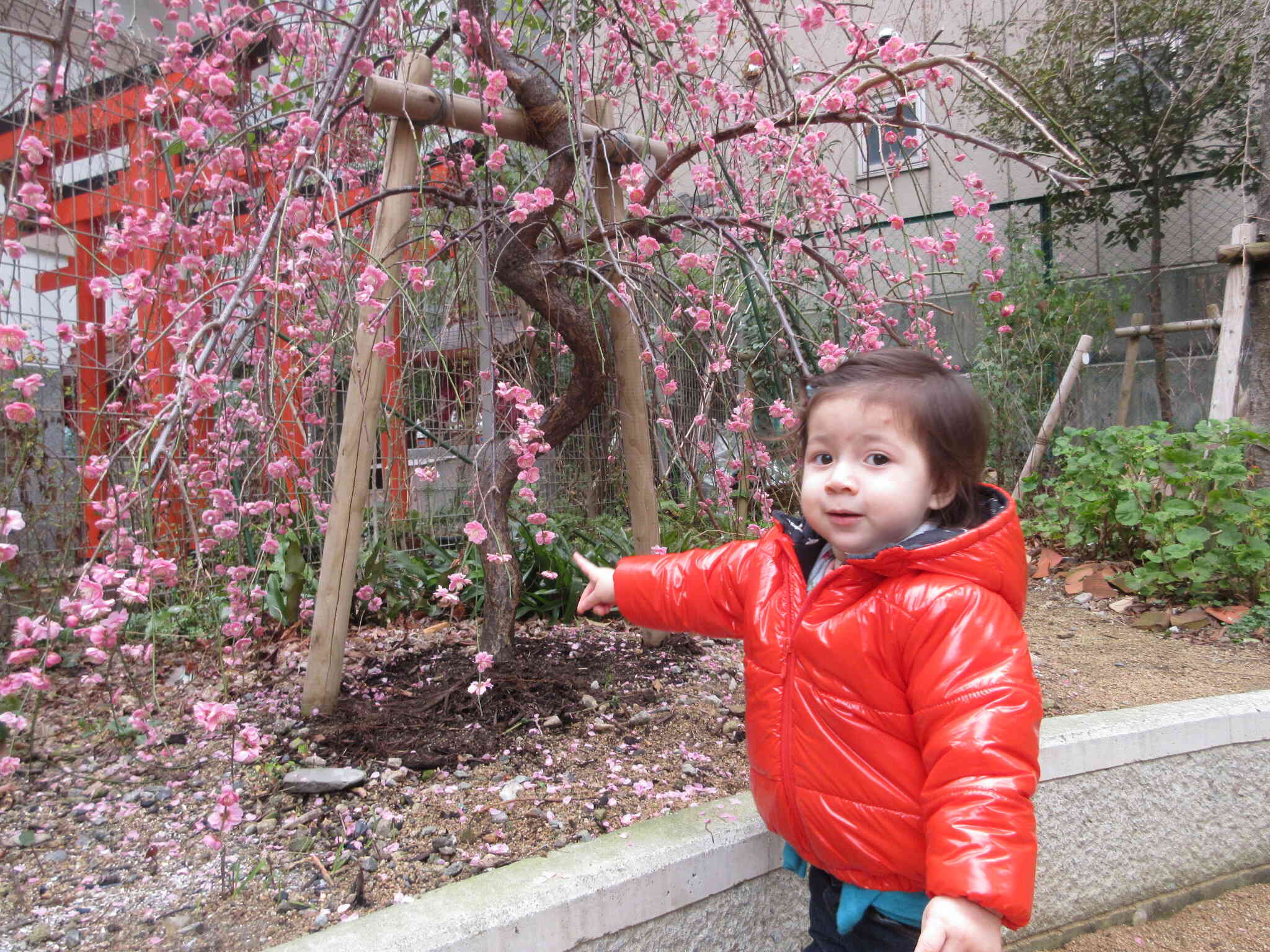 小さな春の訪れ