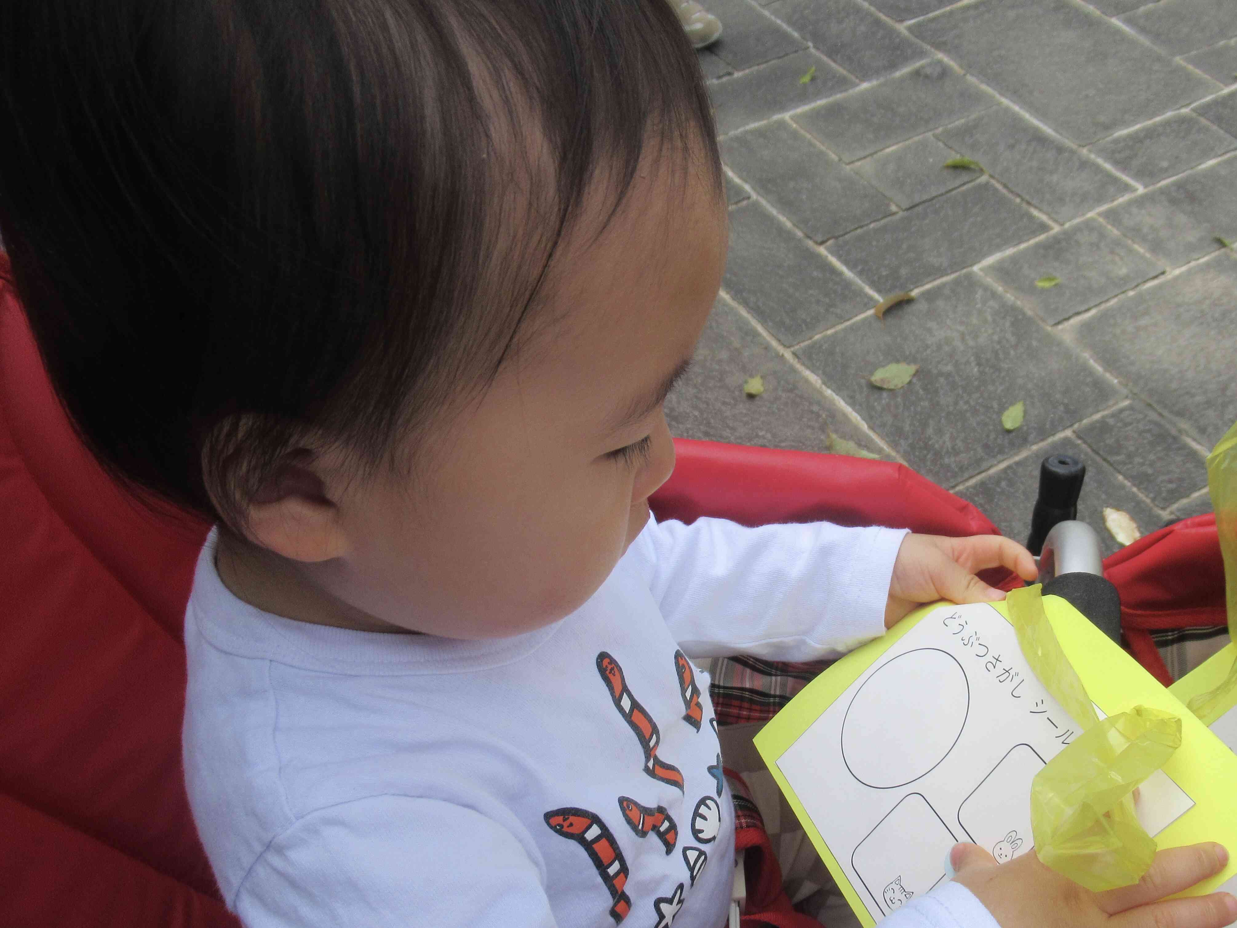 いくつ貼れるかな？