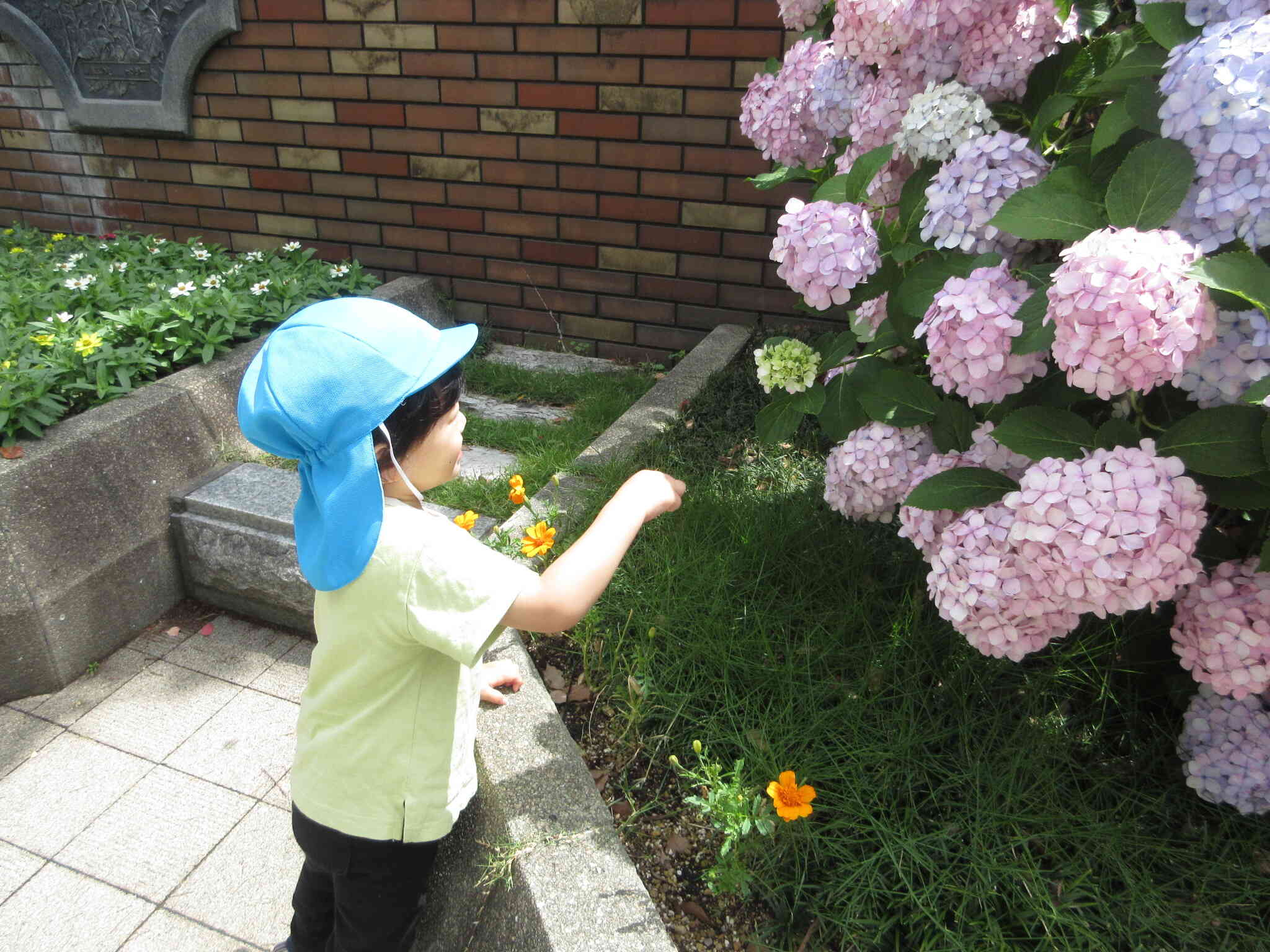 雨上がりのお散歩
