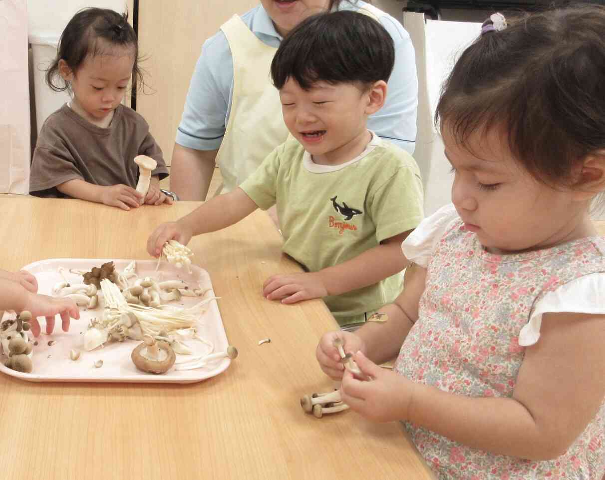 食育 きのこにきのこに触れよう