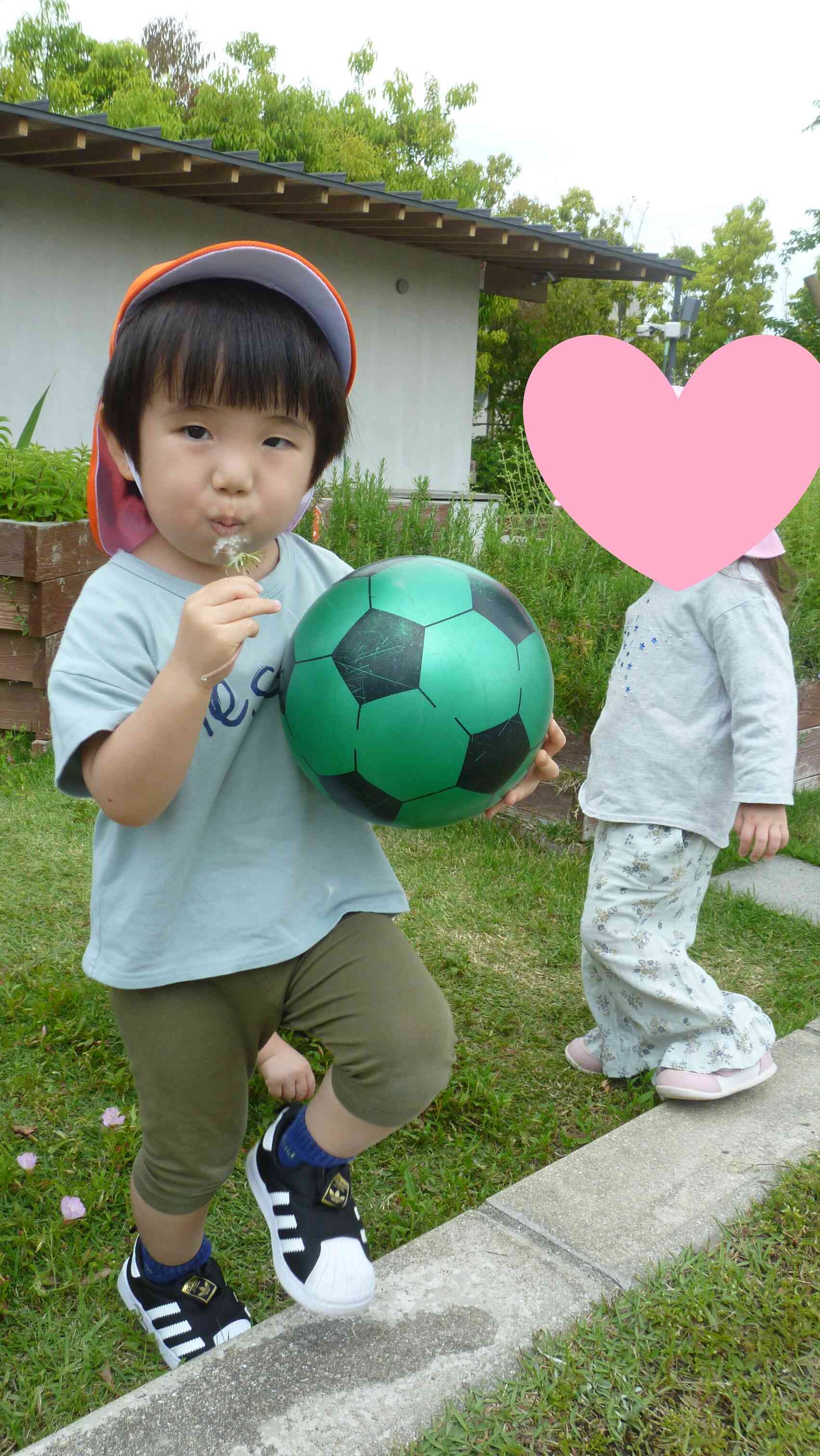 たんぽぽ　みーつけた！