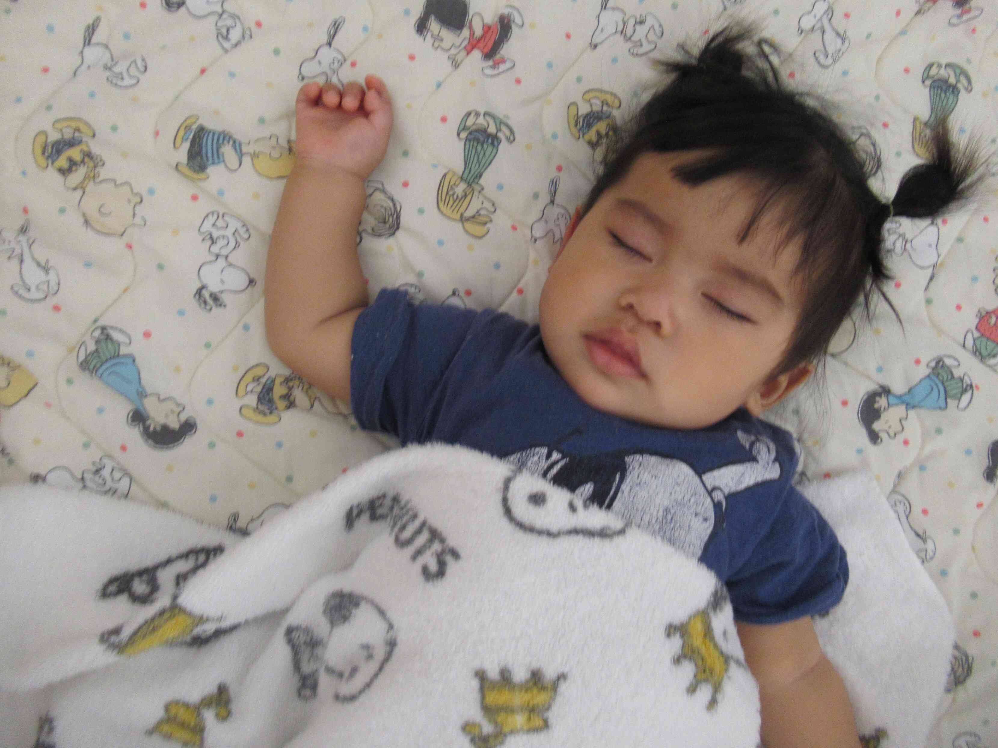 スヤスヤ・・ｚｚｚ
