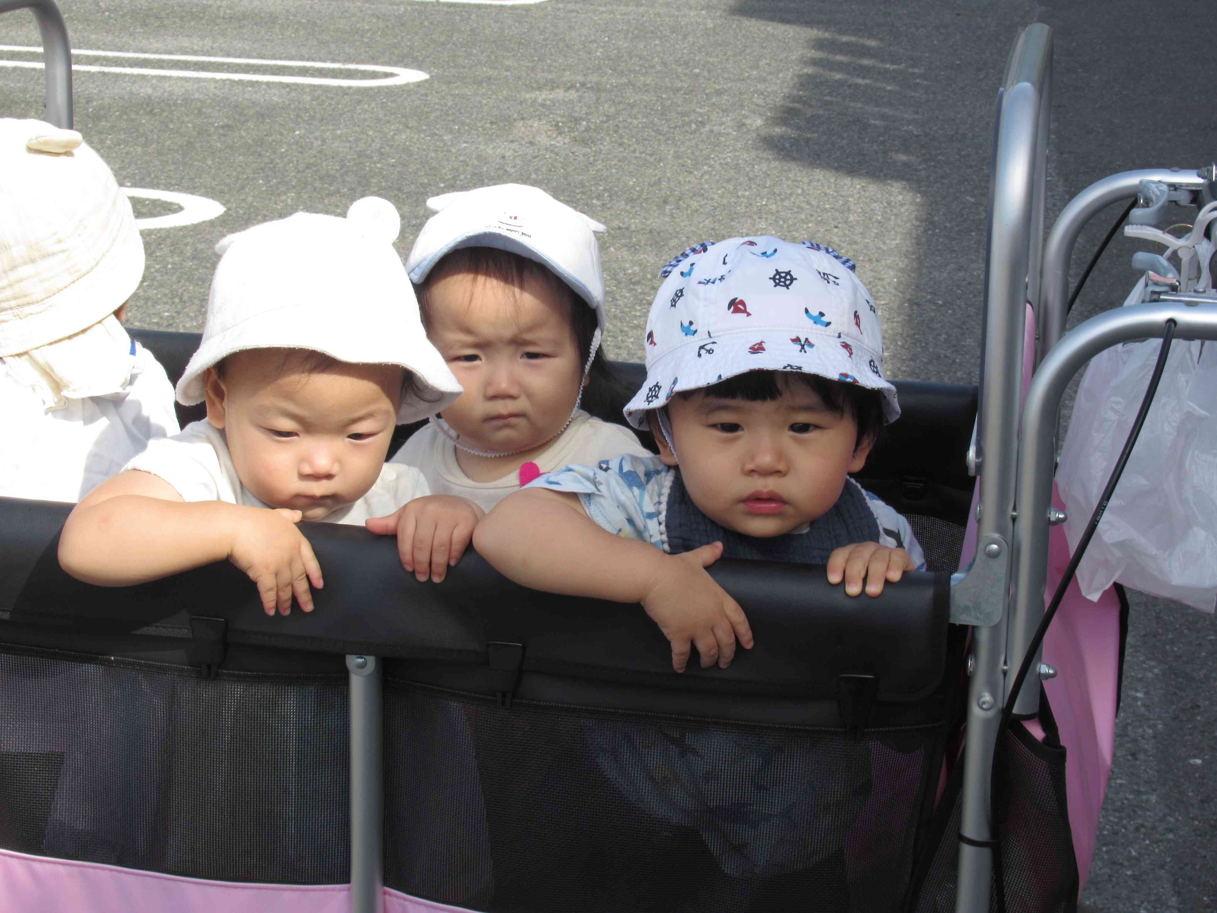 立って乗れるようになりました☆　散歩者デビュー！